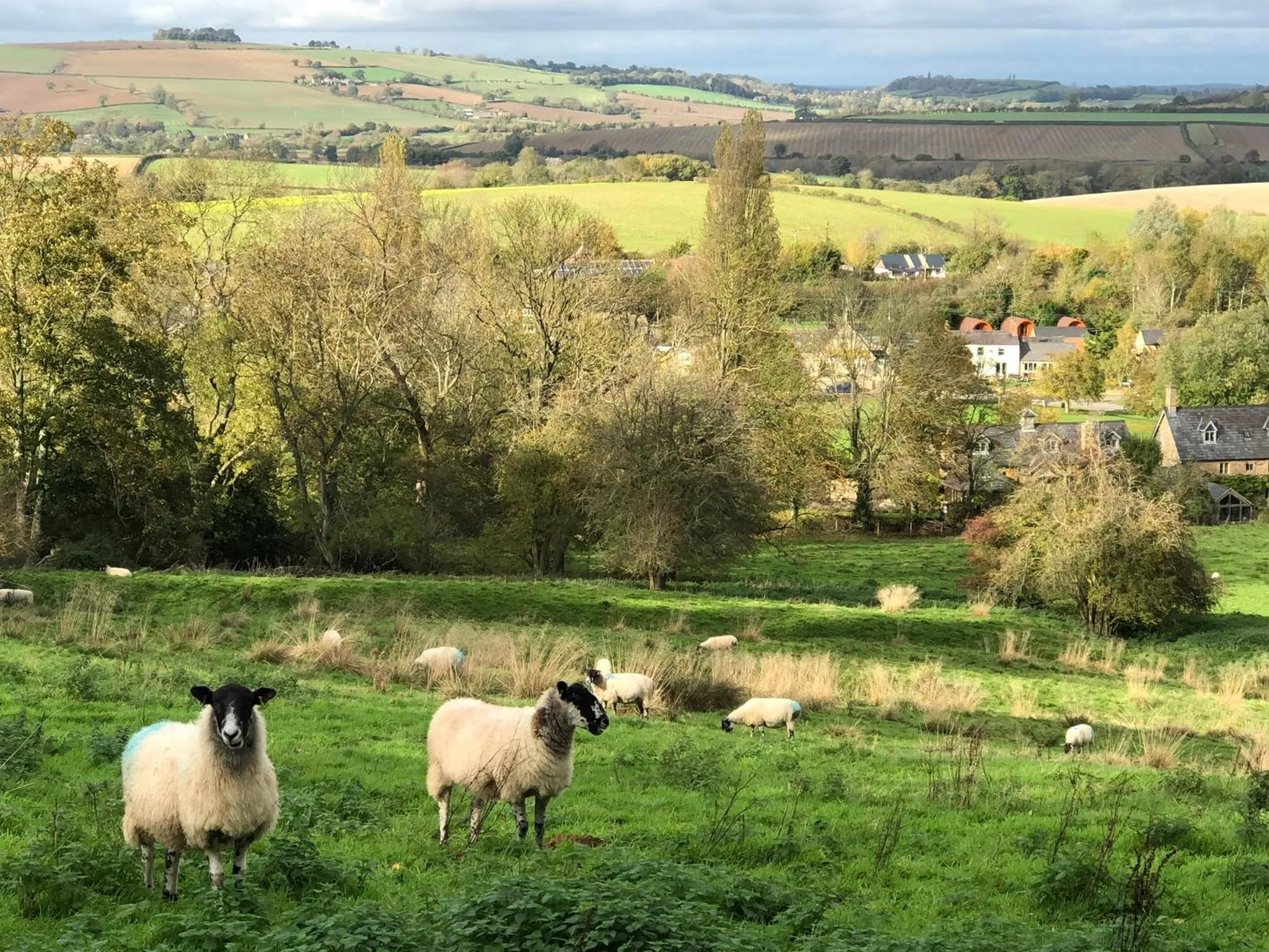 Neighbourhood in The Norman Knight Whichford