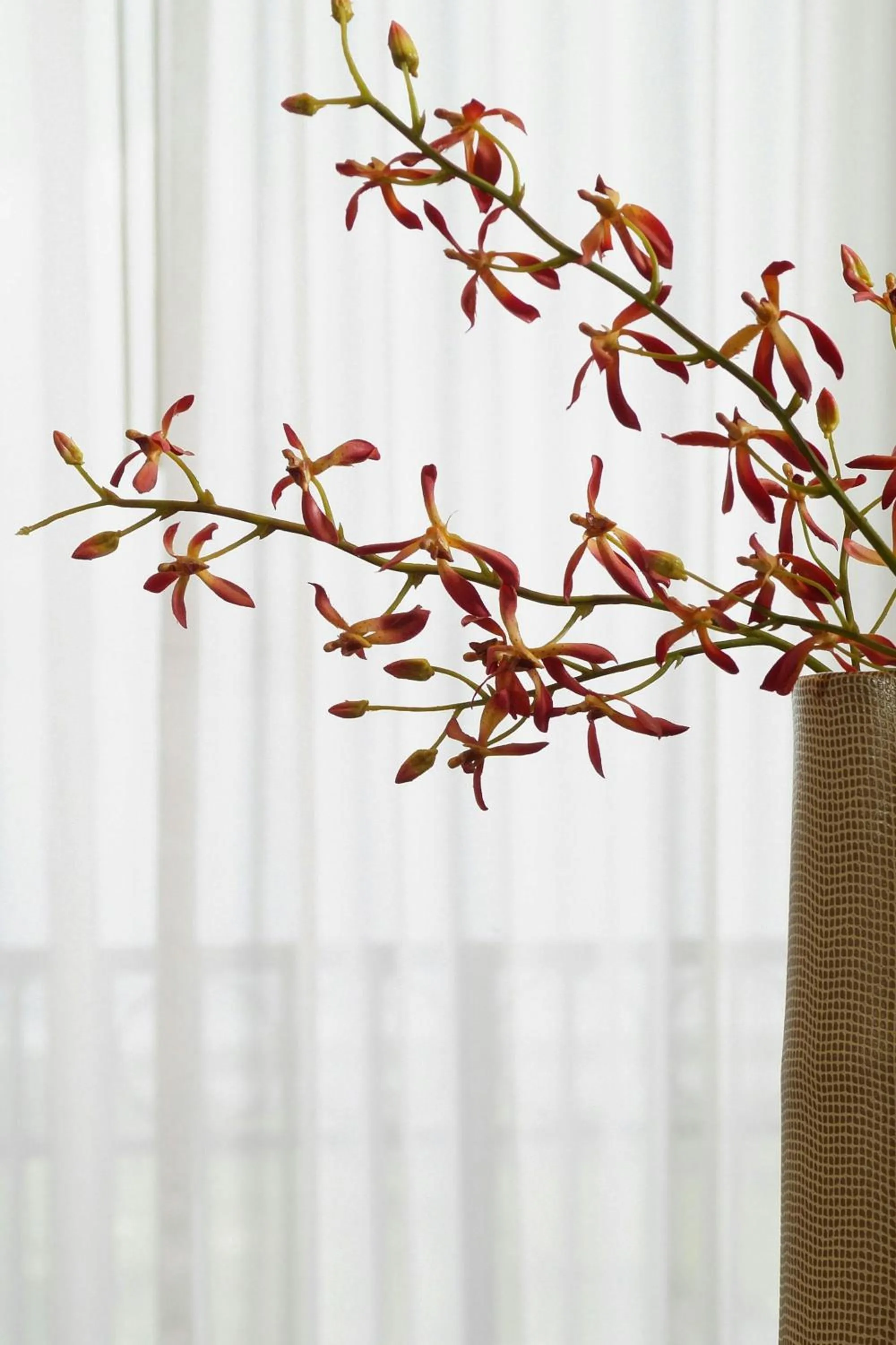 Other in The Westin Savannah Harbor Golf Resort & Spa