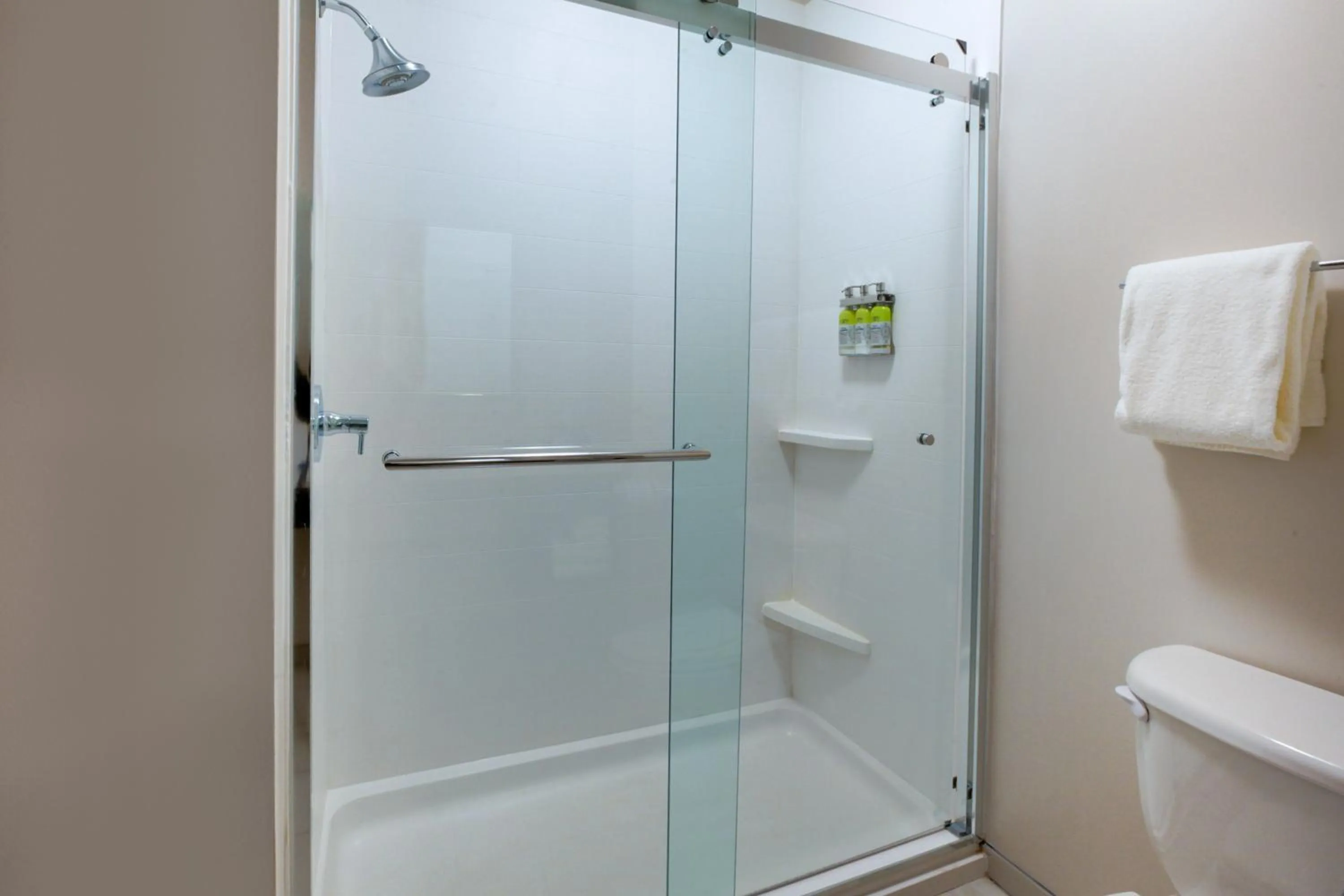 Photo of the whole room in Holiday Inn Express Hotel & Suites Woodhaven by IHG