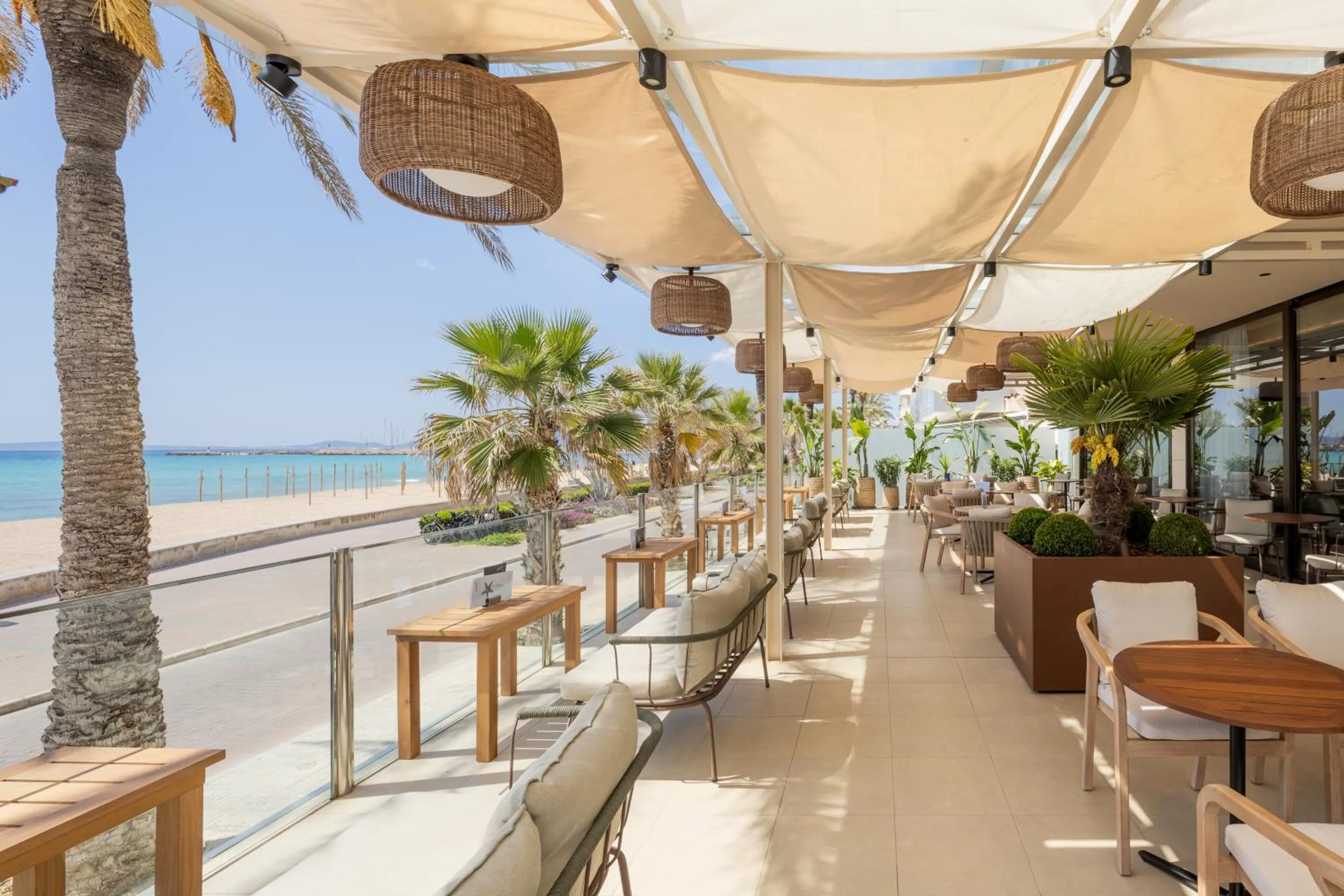 Balcony/Terrace in Hotel Eden Palma Playa Adults Only