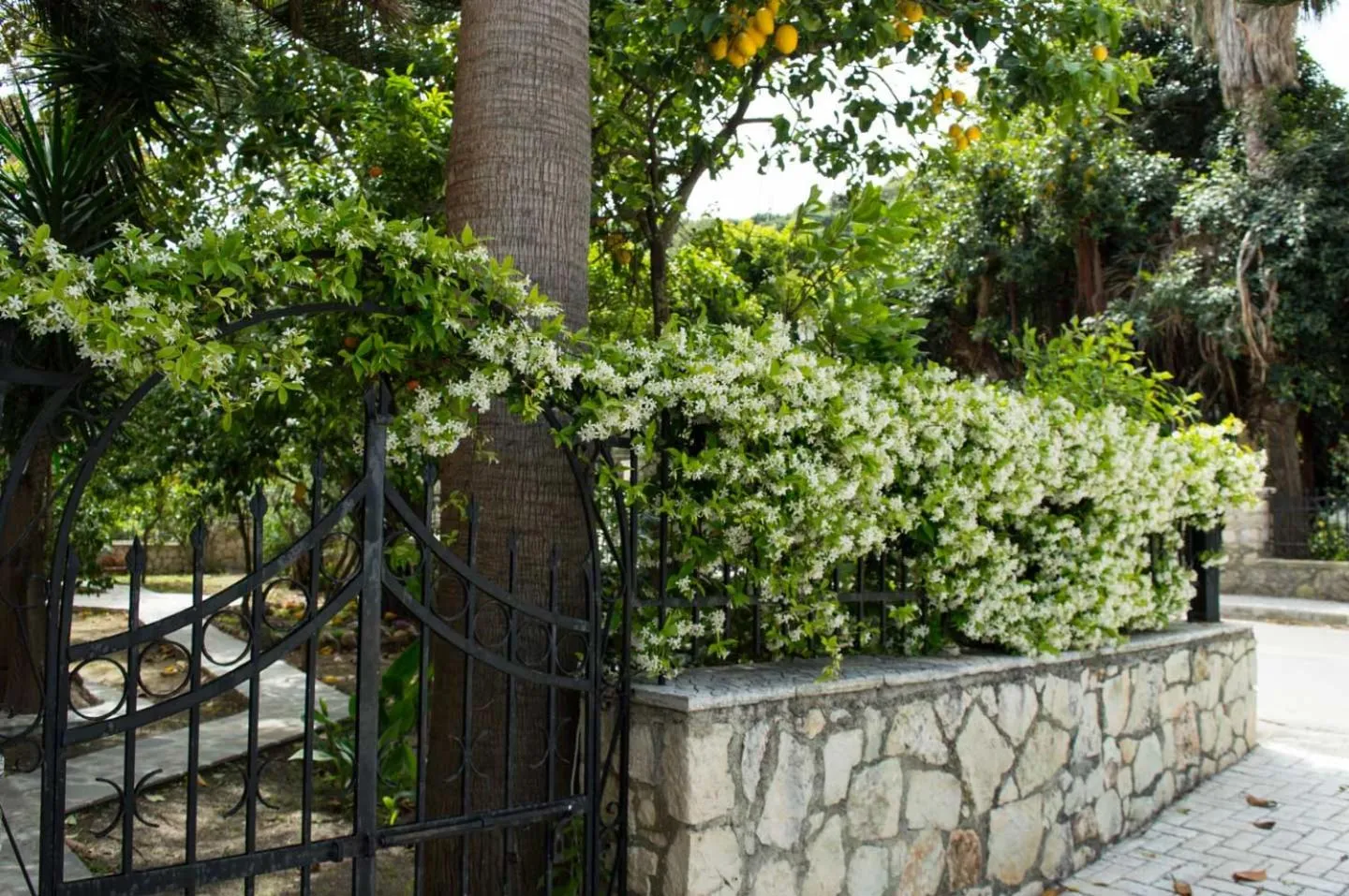 Garden in Paradise Beach Hotel