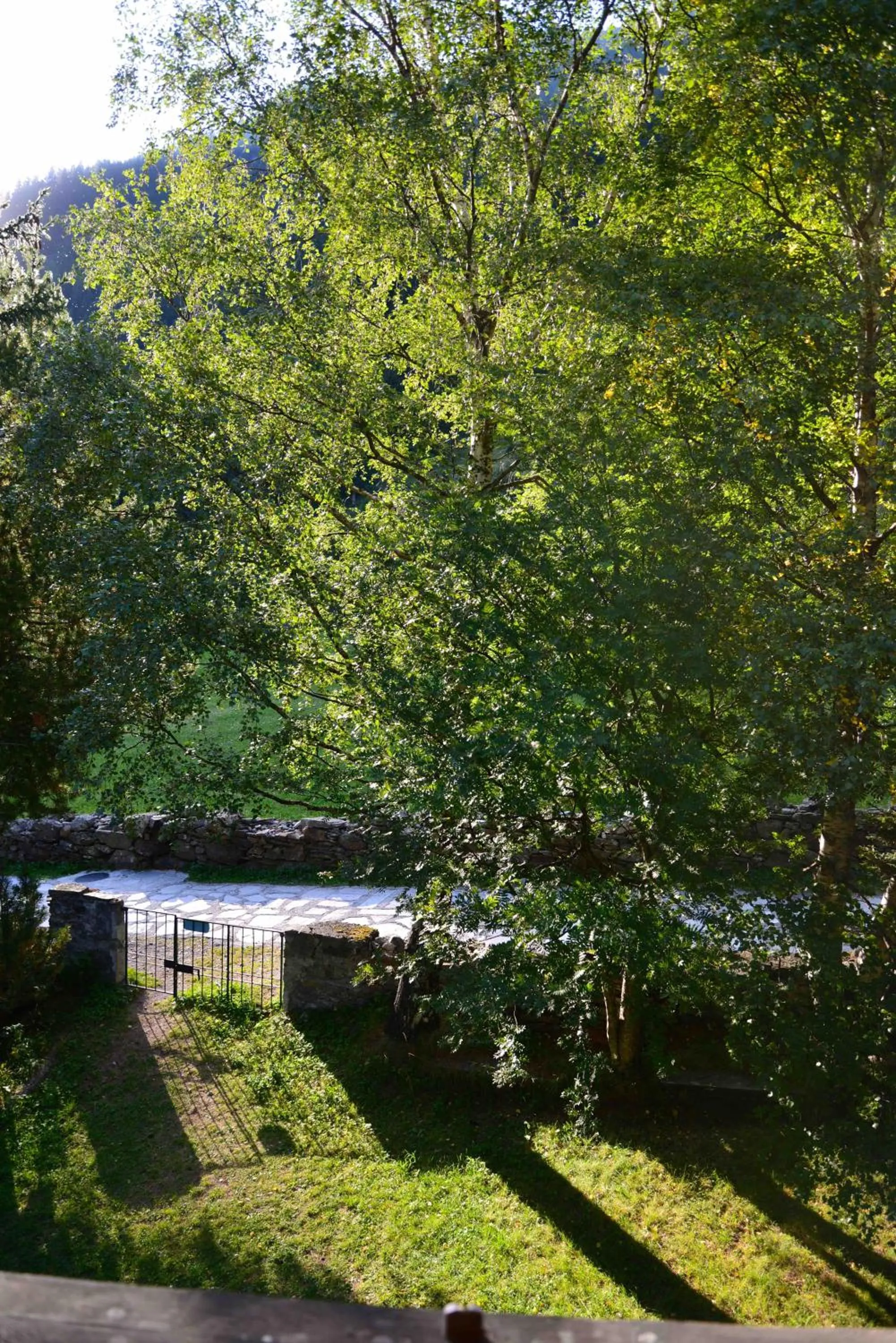 Garden view in Il Cortese