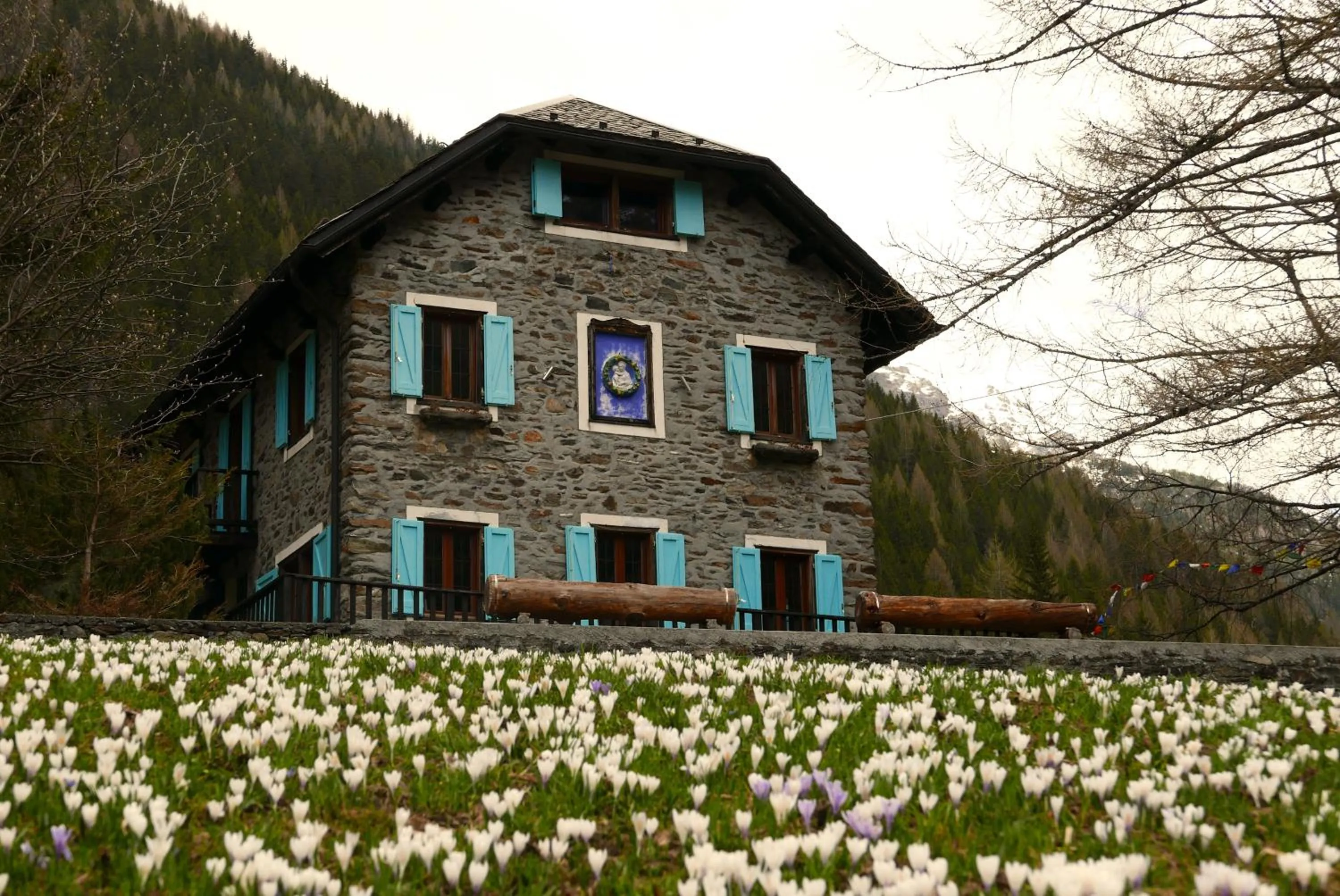 Facade/entrance in Il Cortese