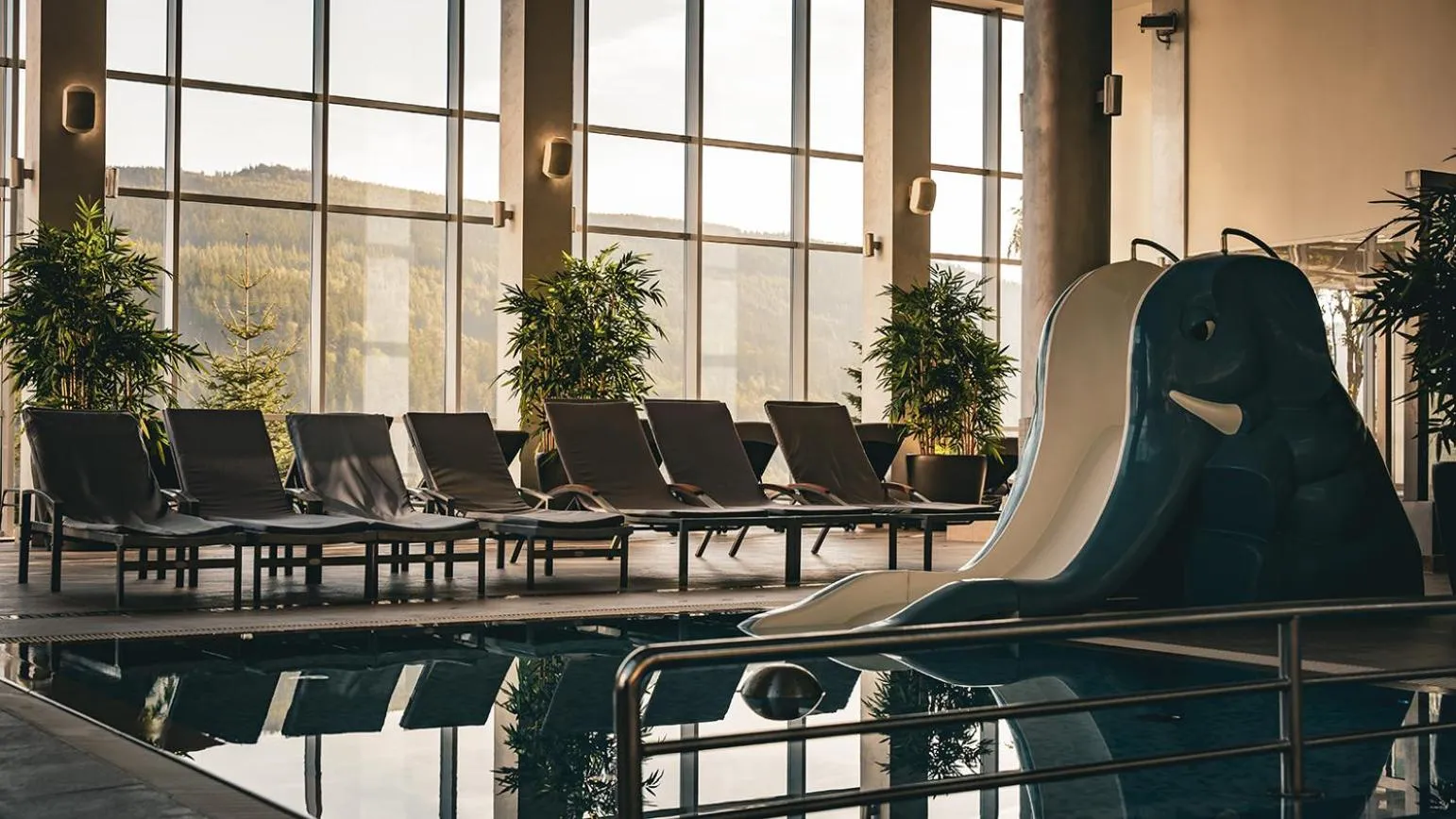 Swimming pool in Hotel & Medi-Spa Biały Kamień