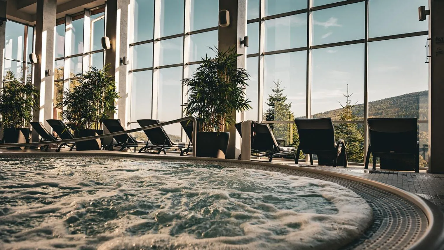 Swimming pool in Hotel & Medi-Spa Biały Kamień