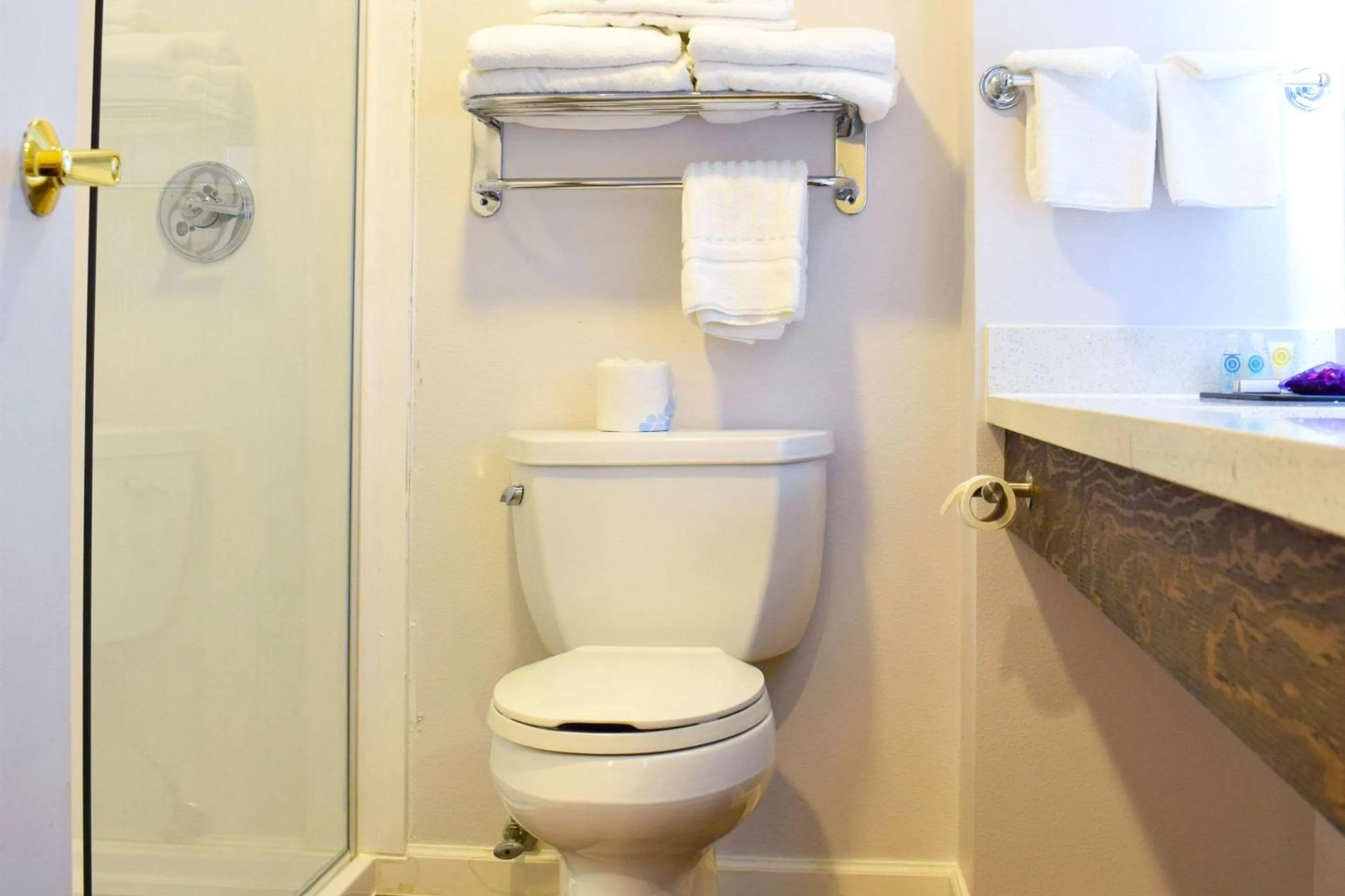 Bedroom in Comfort Inn Bellingham