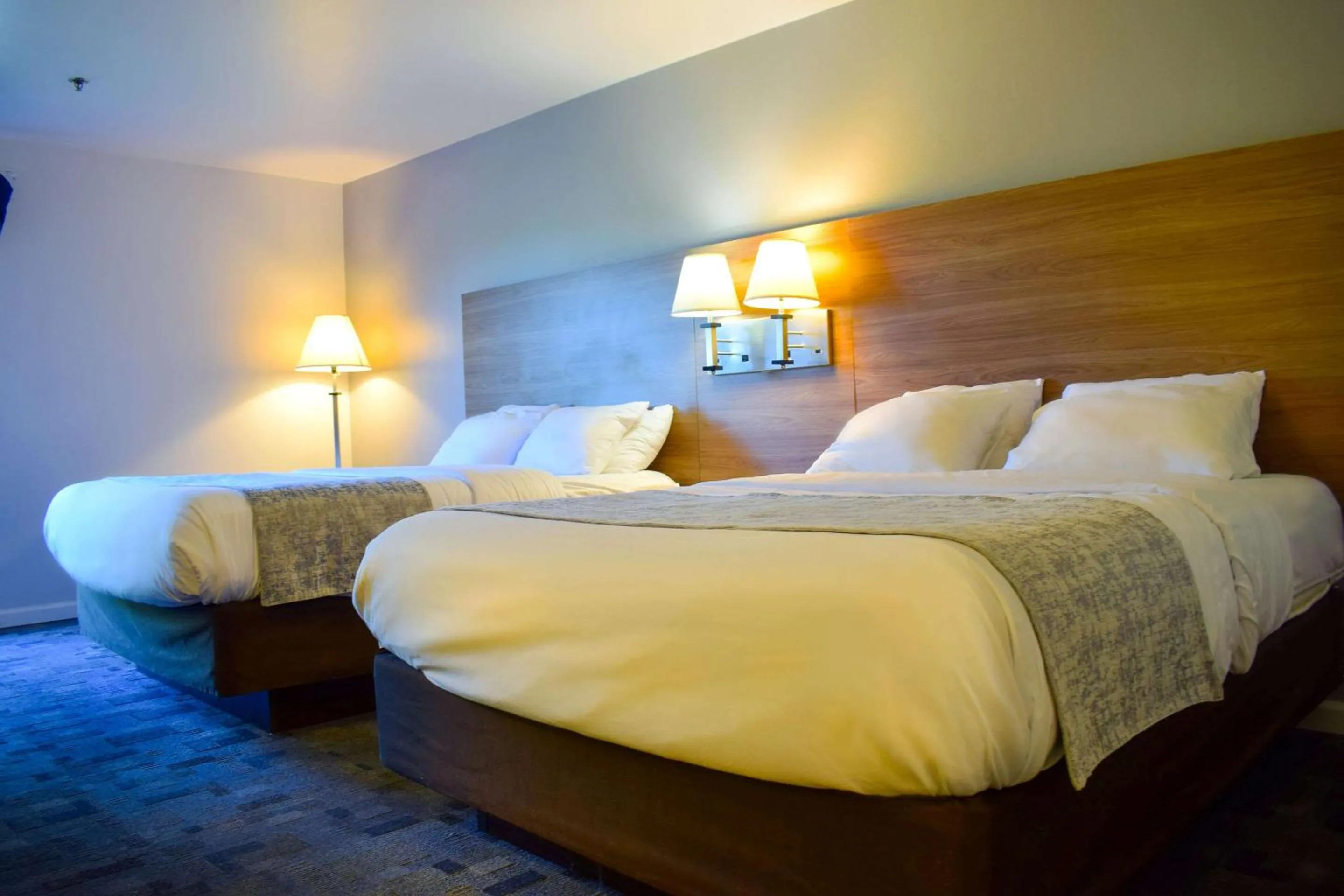 Bedroom, Bed in Comfort Inn Bellingham