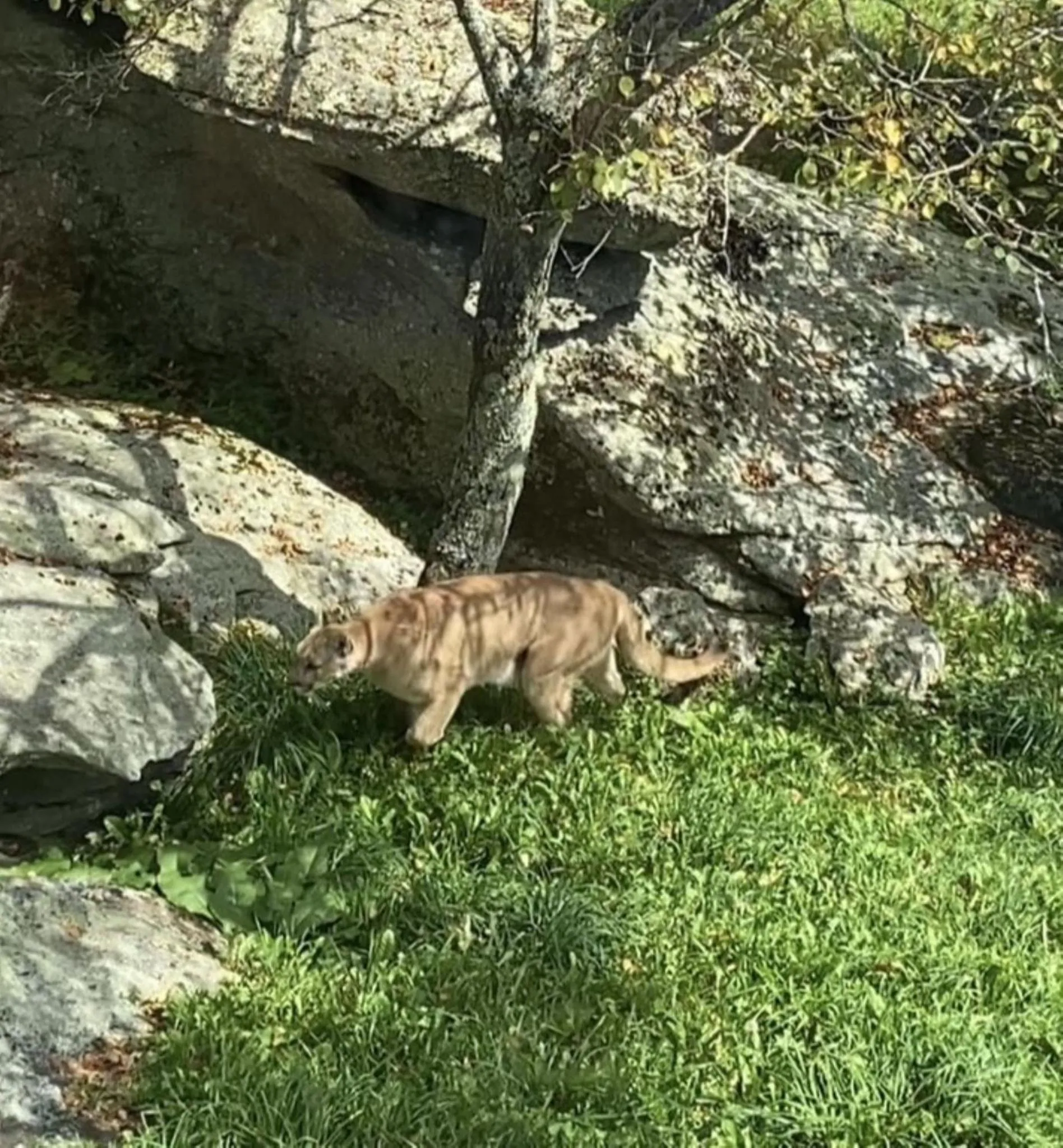 Area and facilities in Holiday Inn Express Boone by IHG