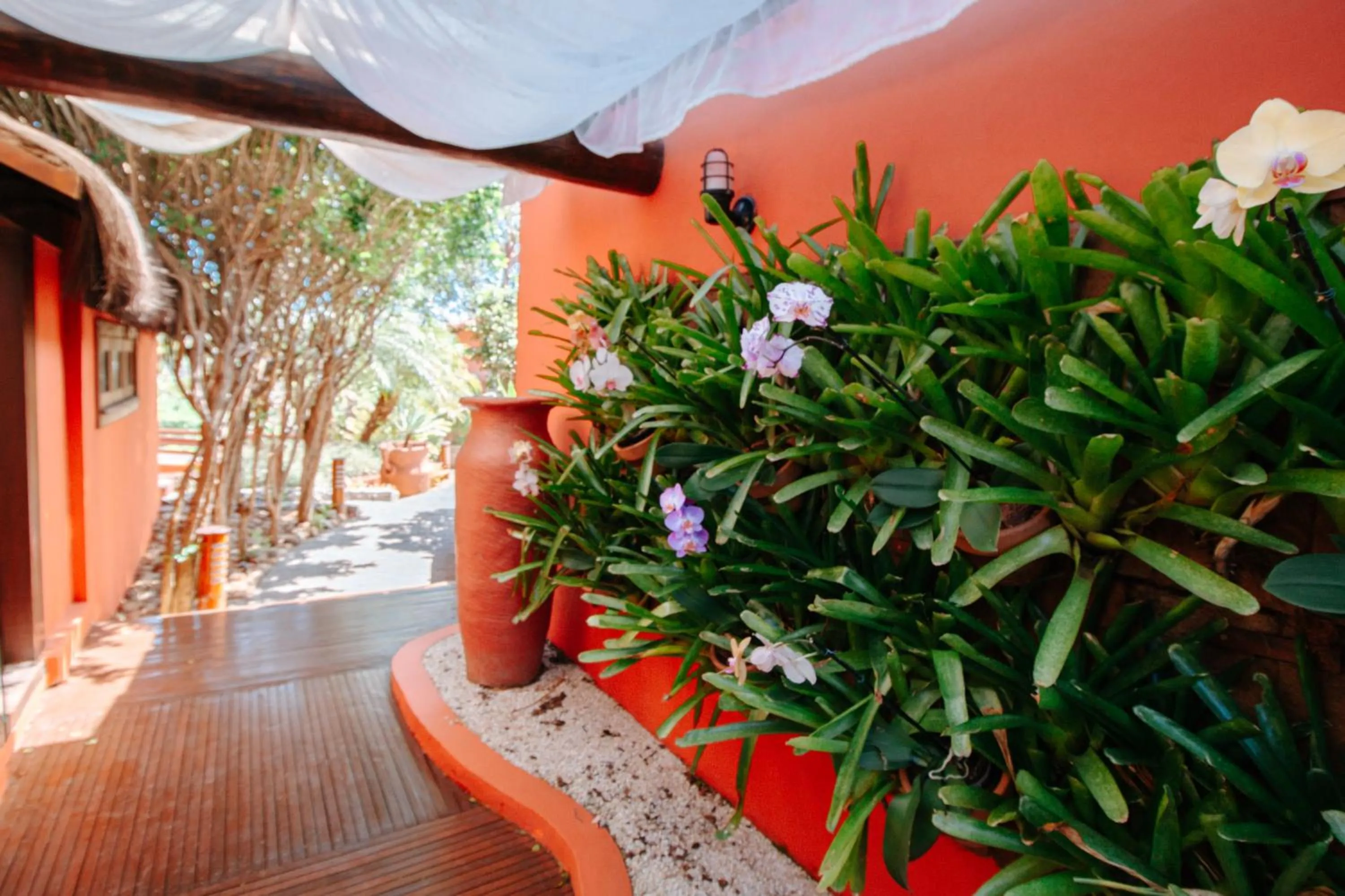 Garden in Azeda Boutique Hotel