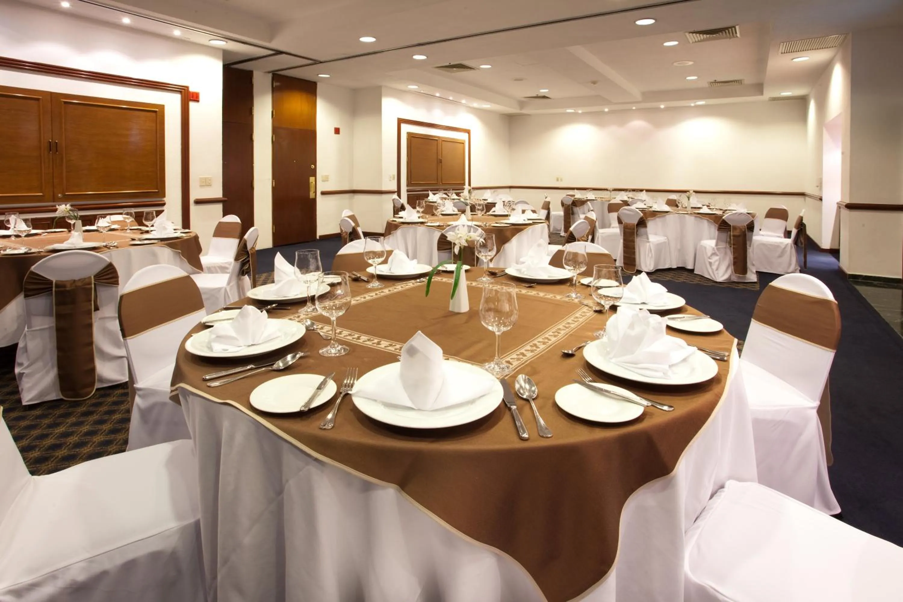 Banquet/Function facilities in Holiday Inn Puebla La Noria by IHG