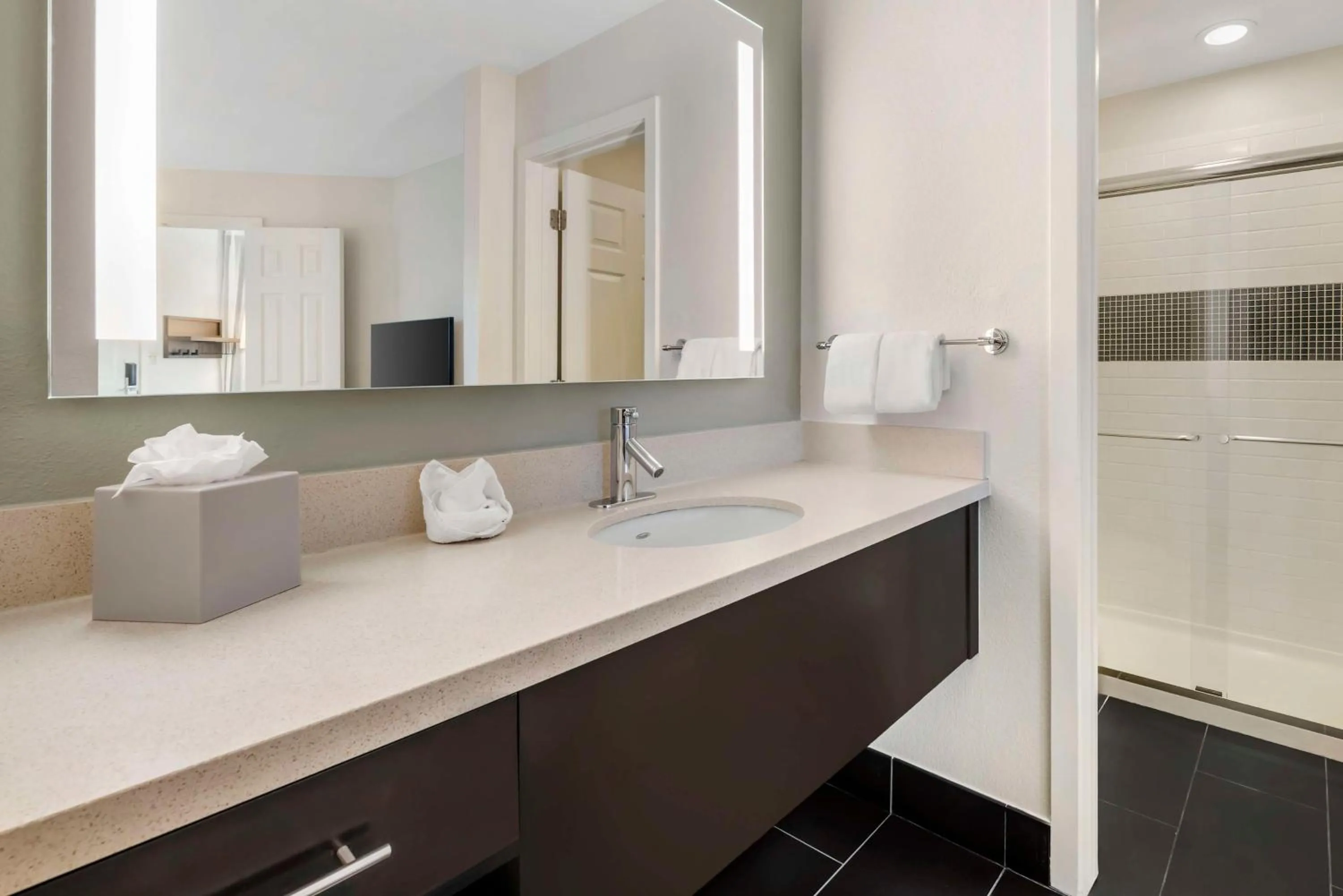 Bathroom in Sonesta ES Suites Dulles Airport