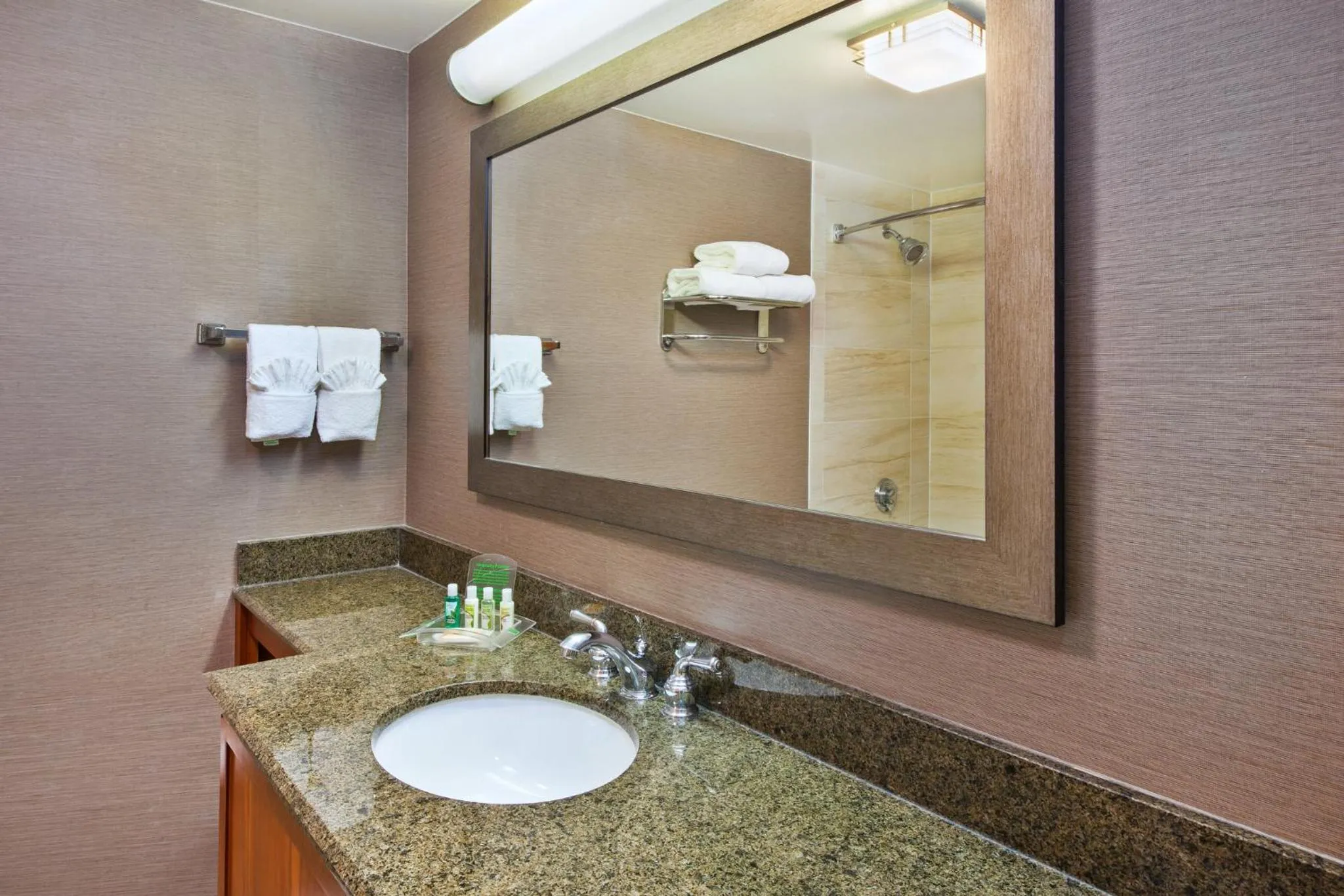 Bathroom in Holiday Inn Washington-Dulles International Airport by IHG
