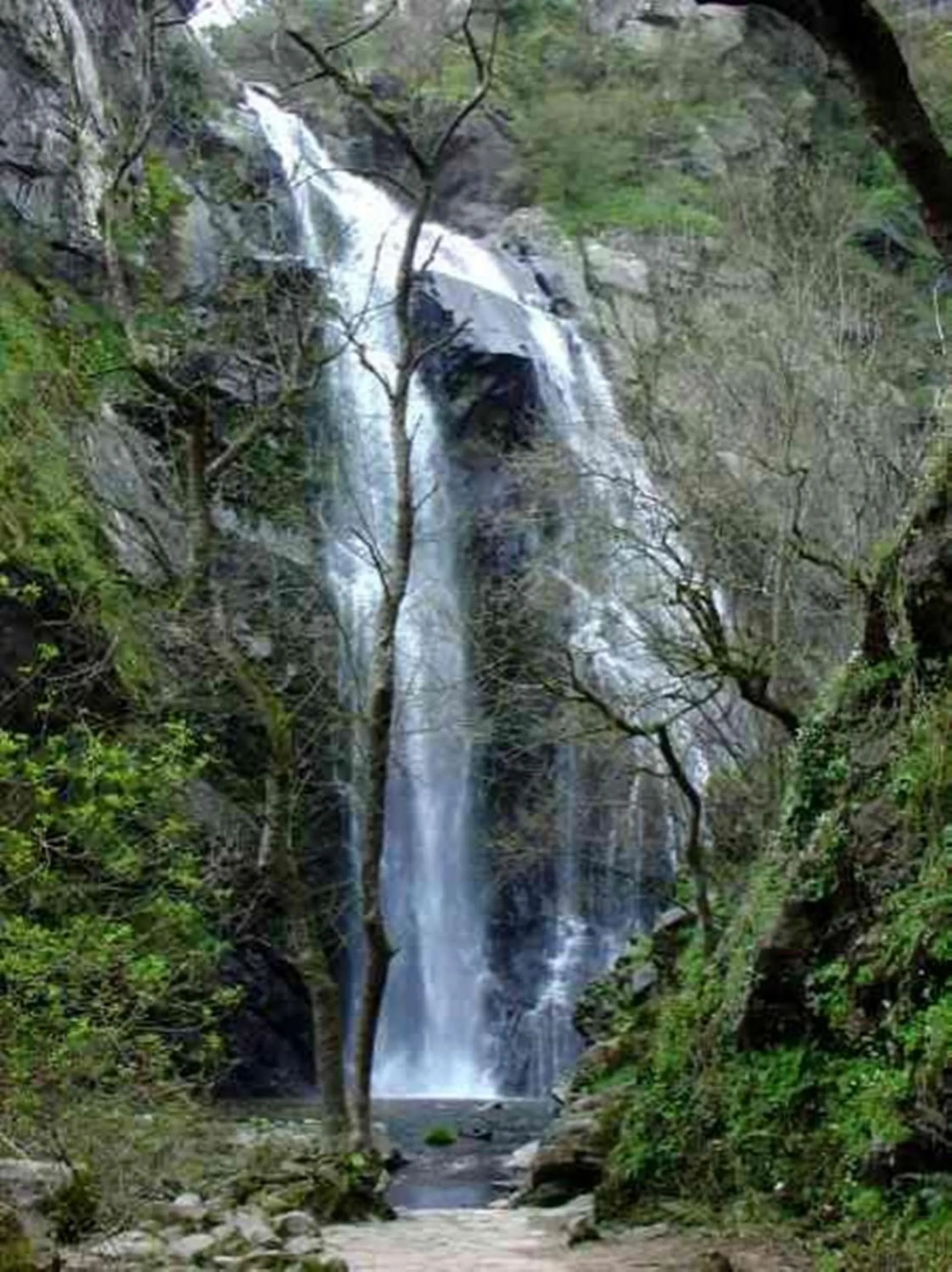 Natural landscape in Hotel Ramos