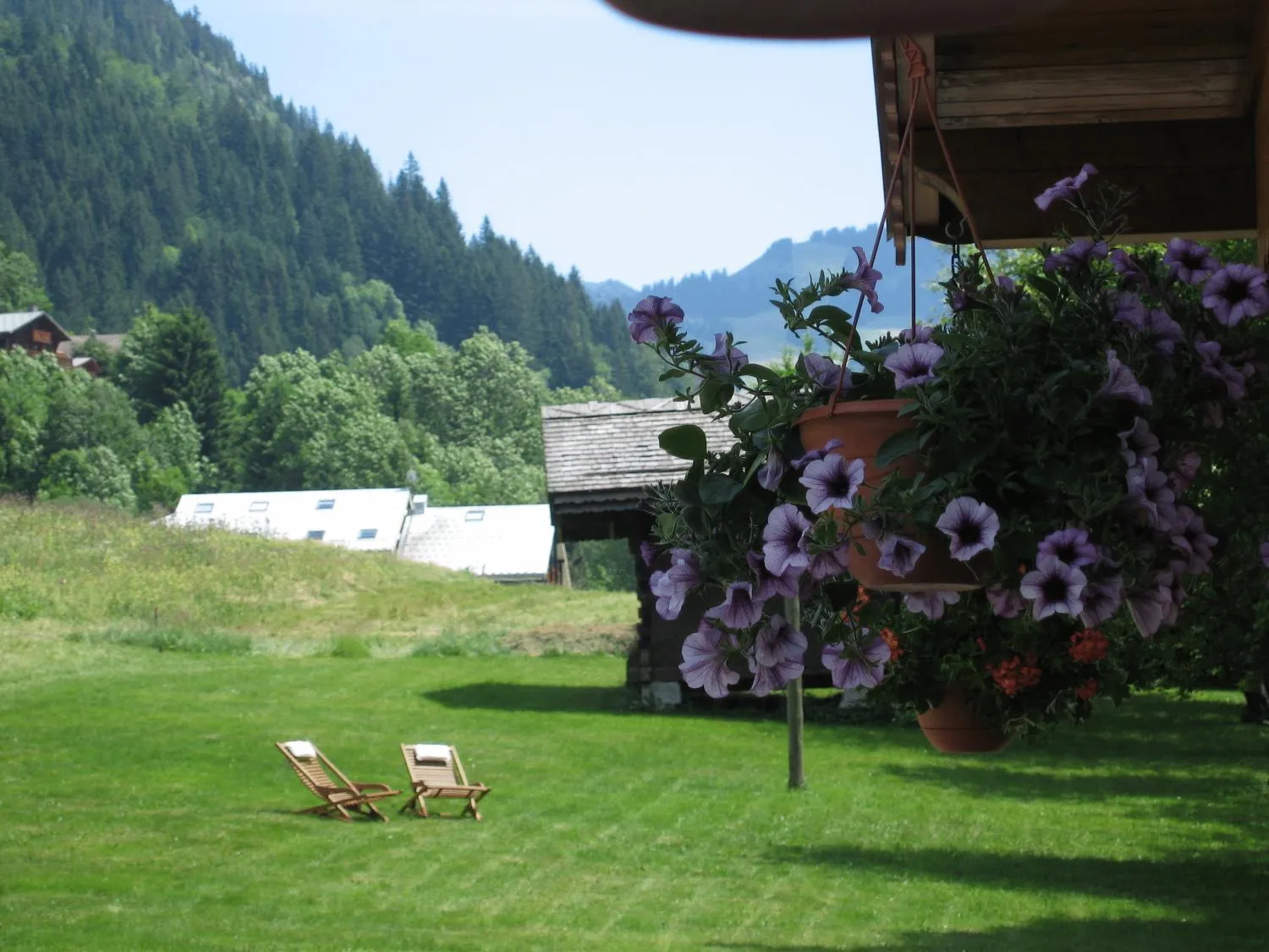 Area and facilities in Esprit Montagne