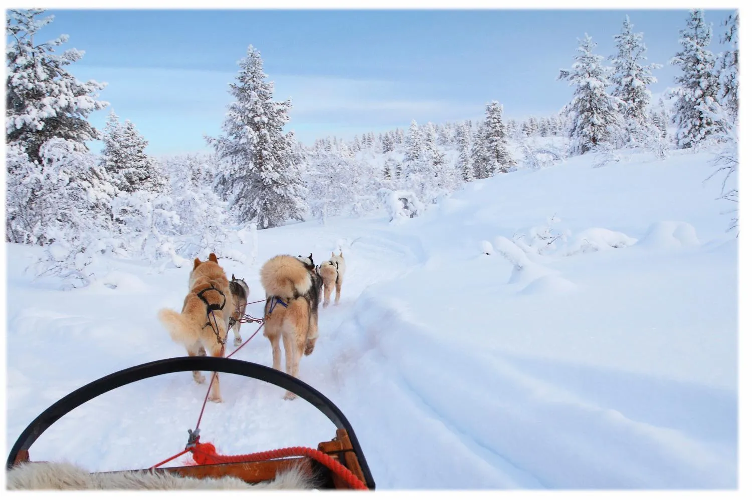 Area and facilities in Esprit Montagne