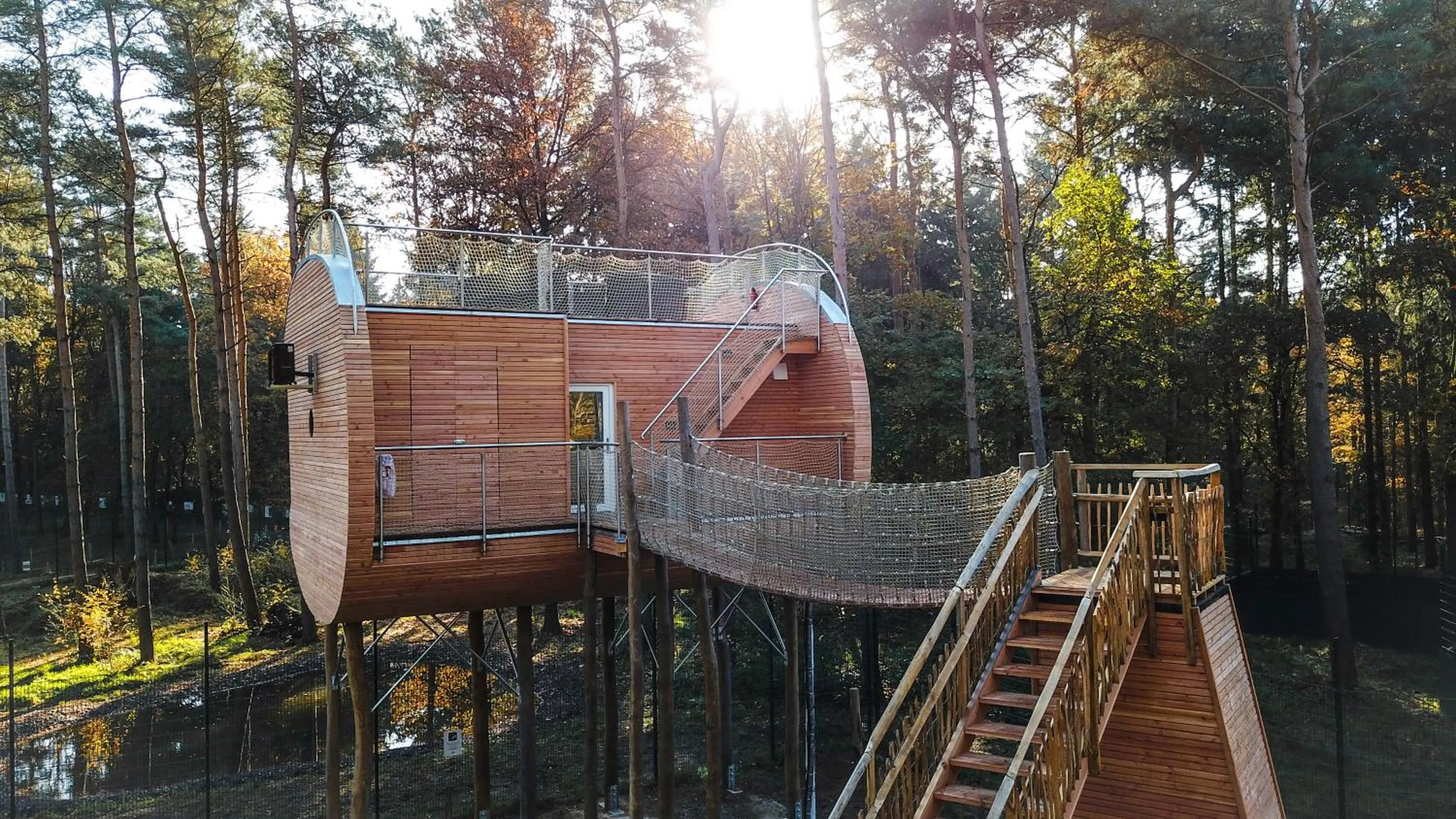 Property building in Tree Inn - Das Baumhaushotel