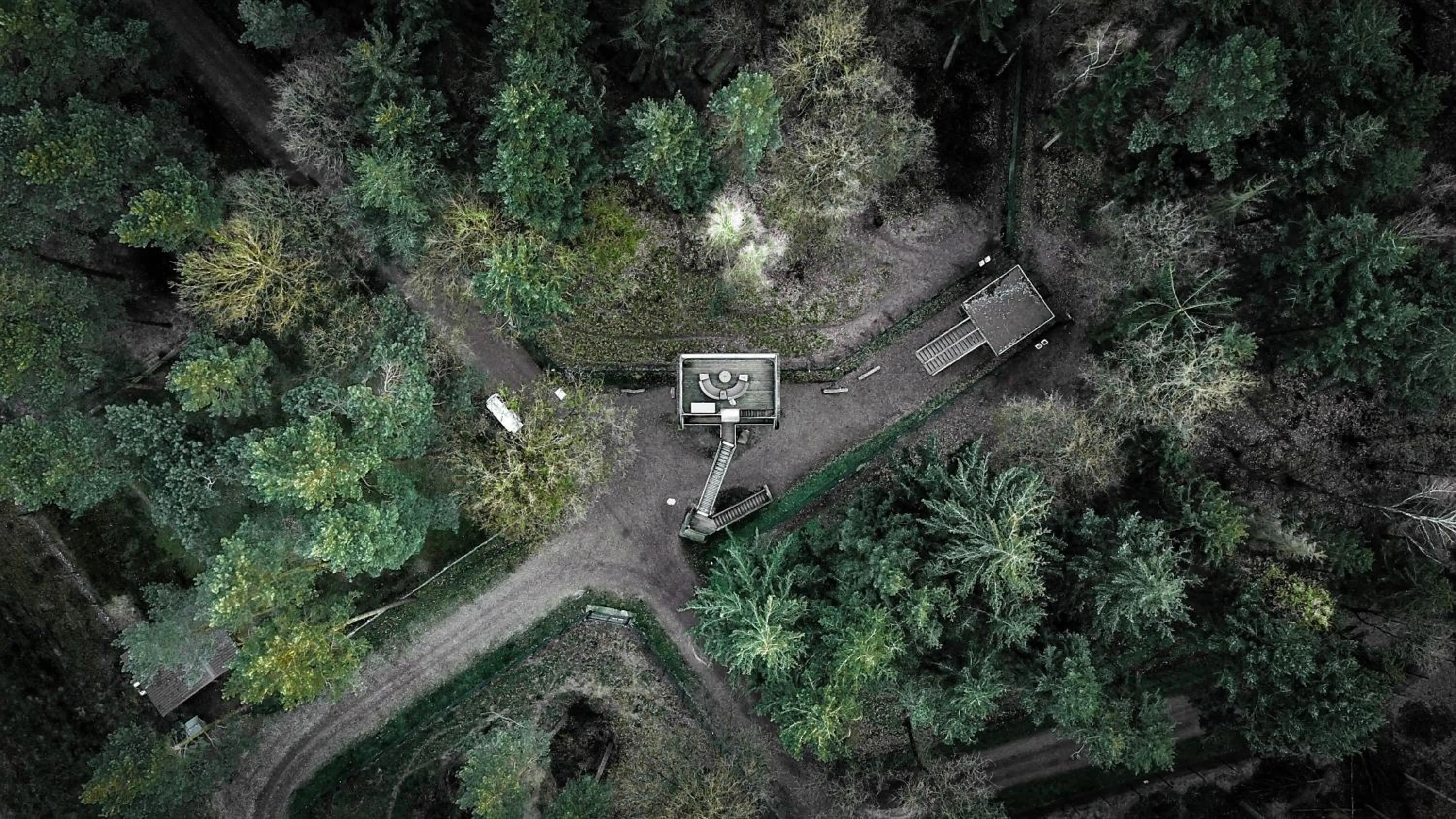 Natural landscape in Tree Inn - Das Baumhaushotel