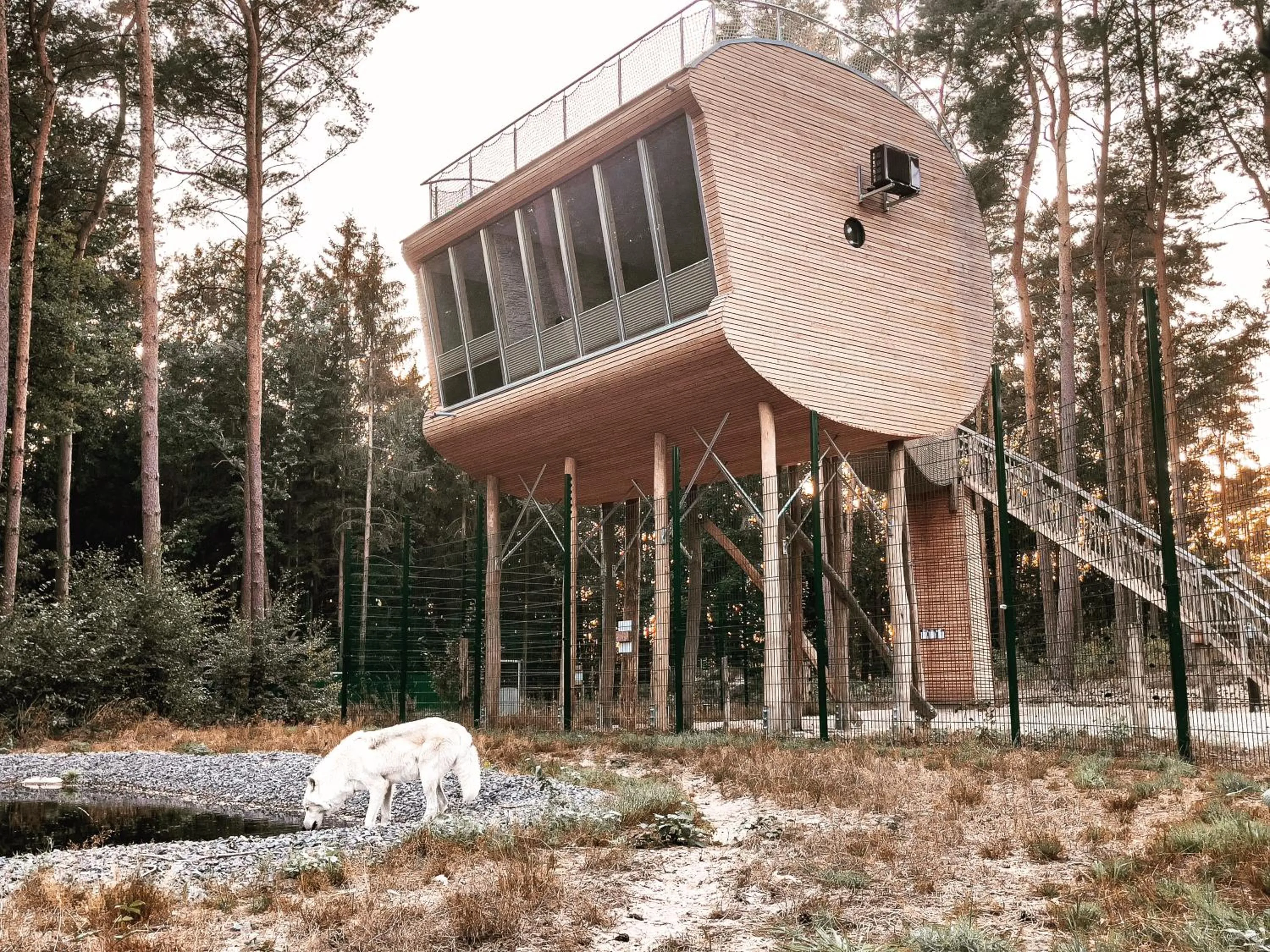 Property building in Tree Inn - Das Baumhaushotel