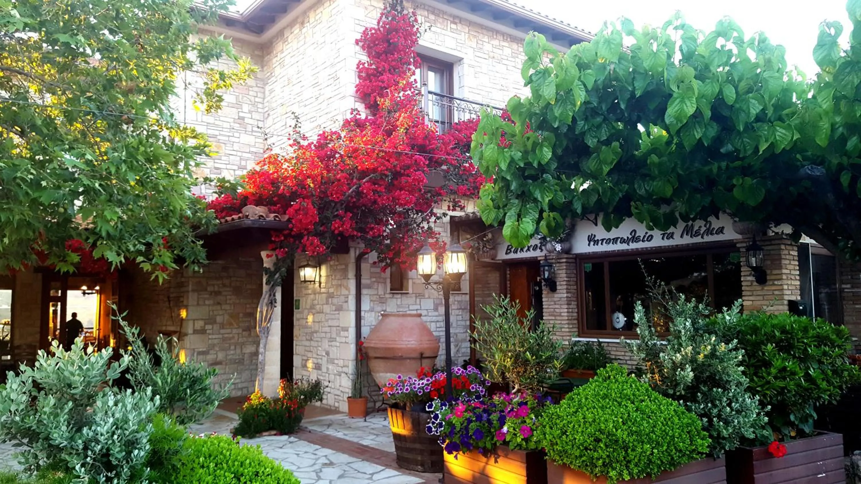 Patio in Bacchus