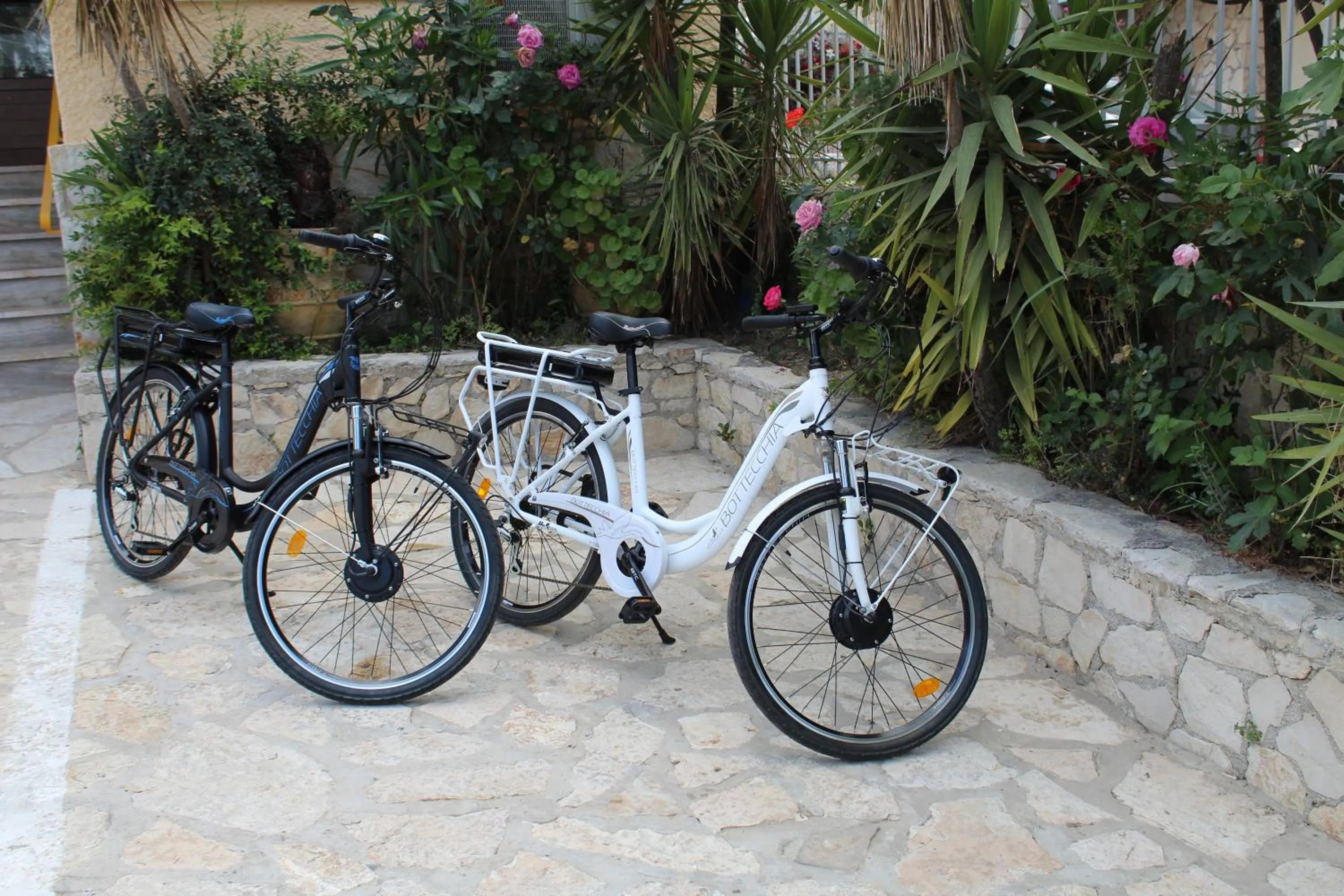 Cycling in Mirabelle Hotel