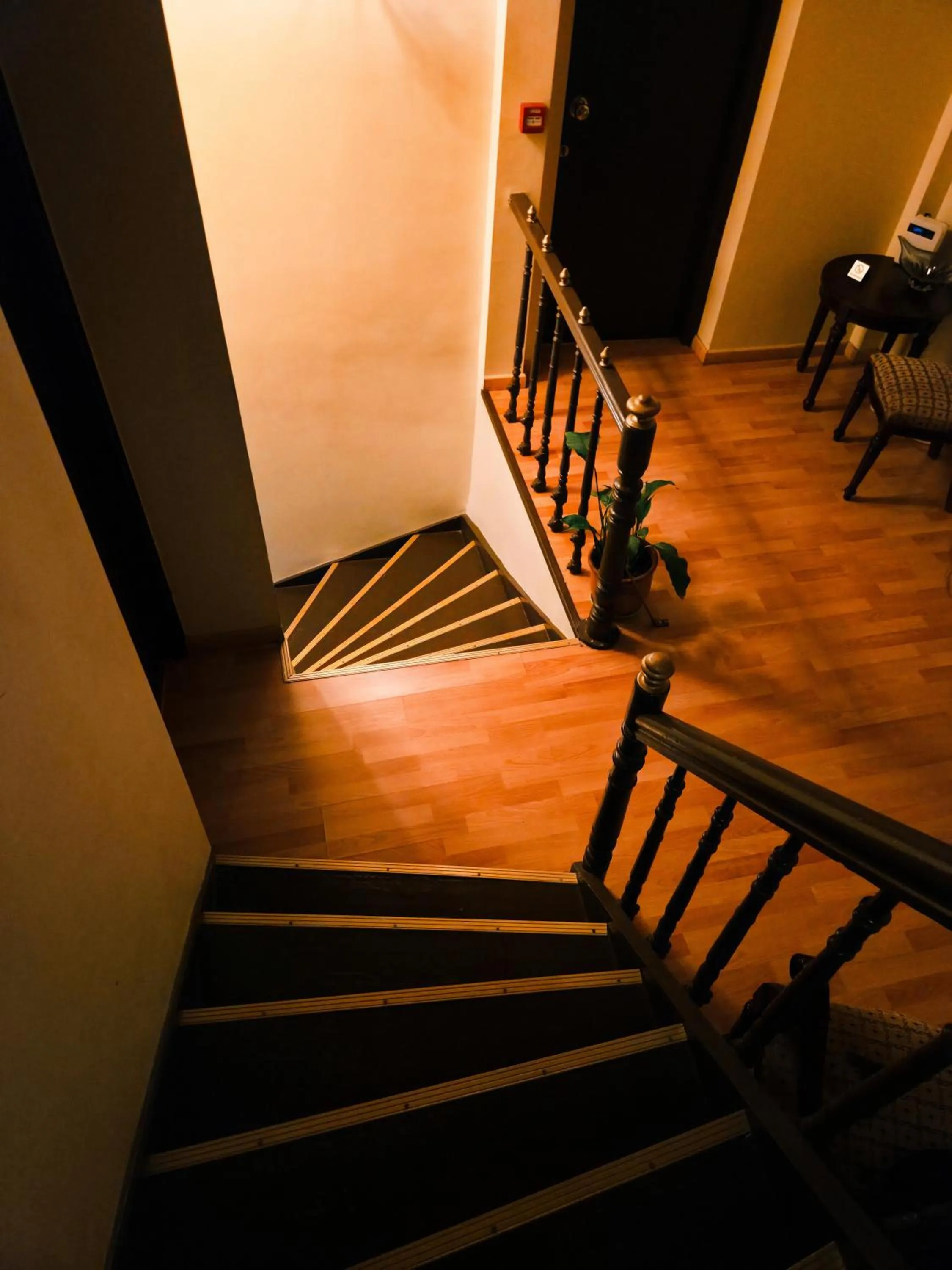 Property building in Dias