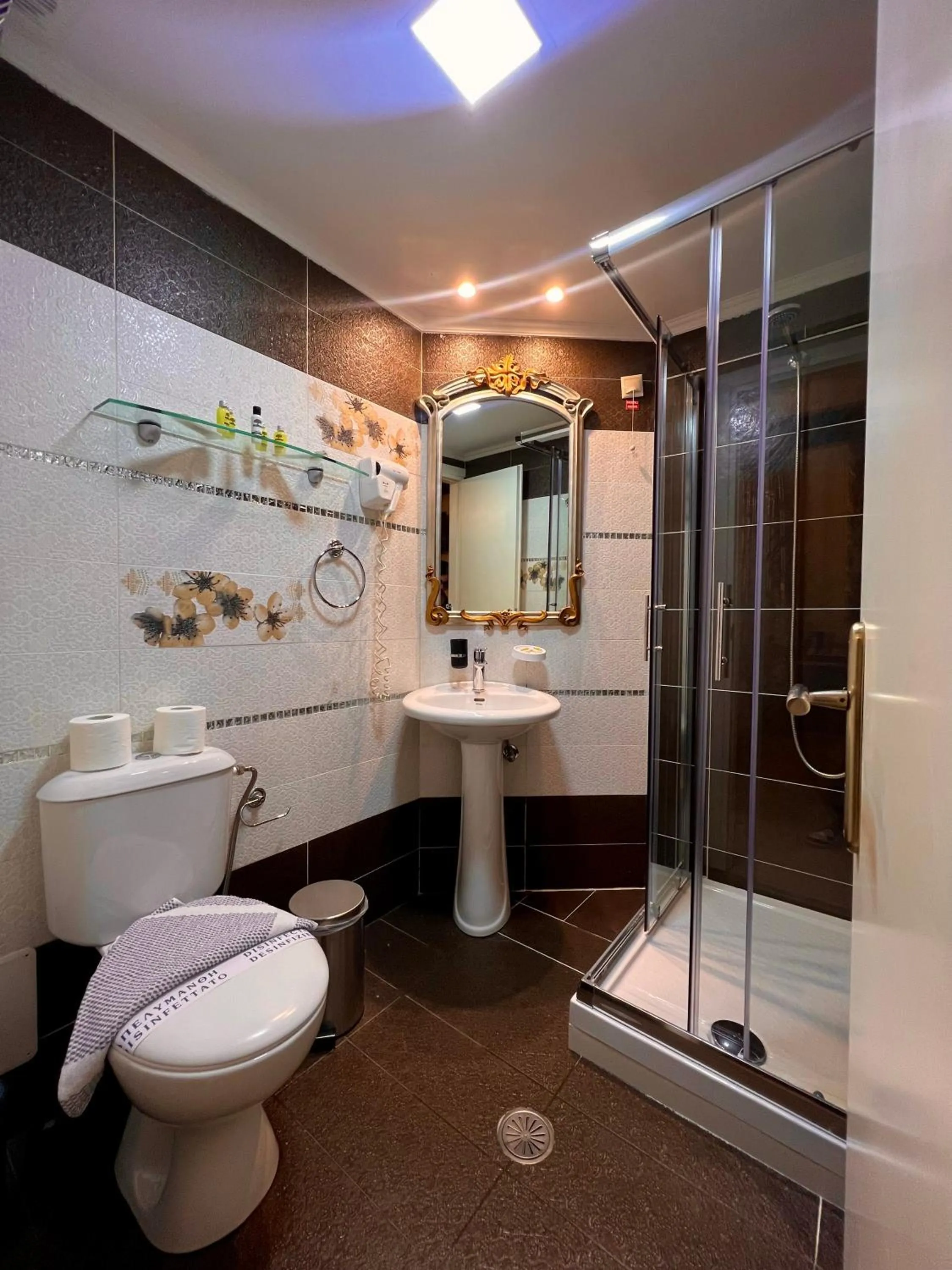 Shower in Pension Dafni