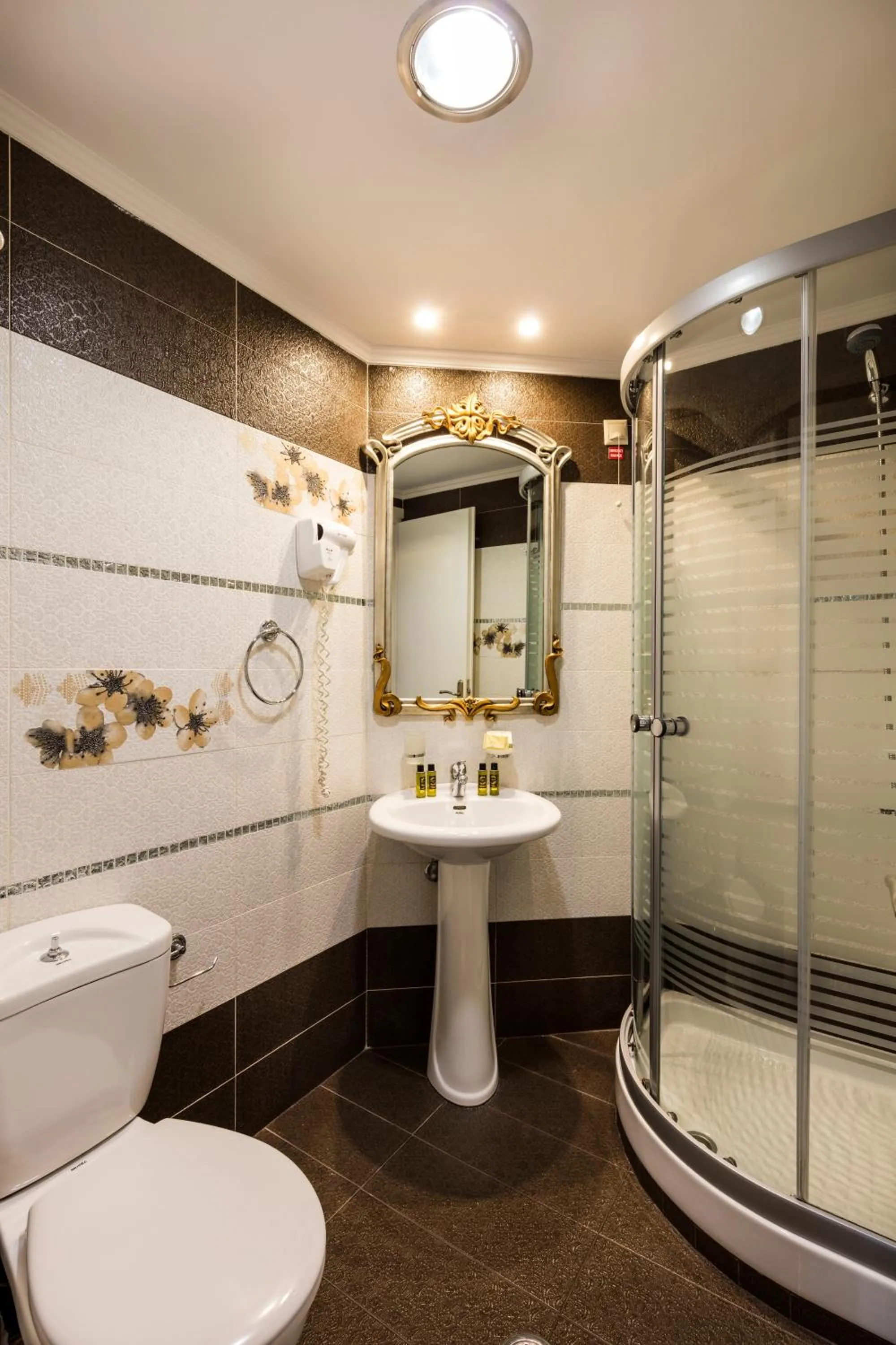 Shower in Pension Dafni