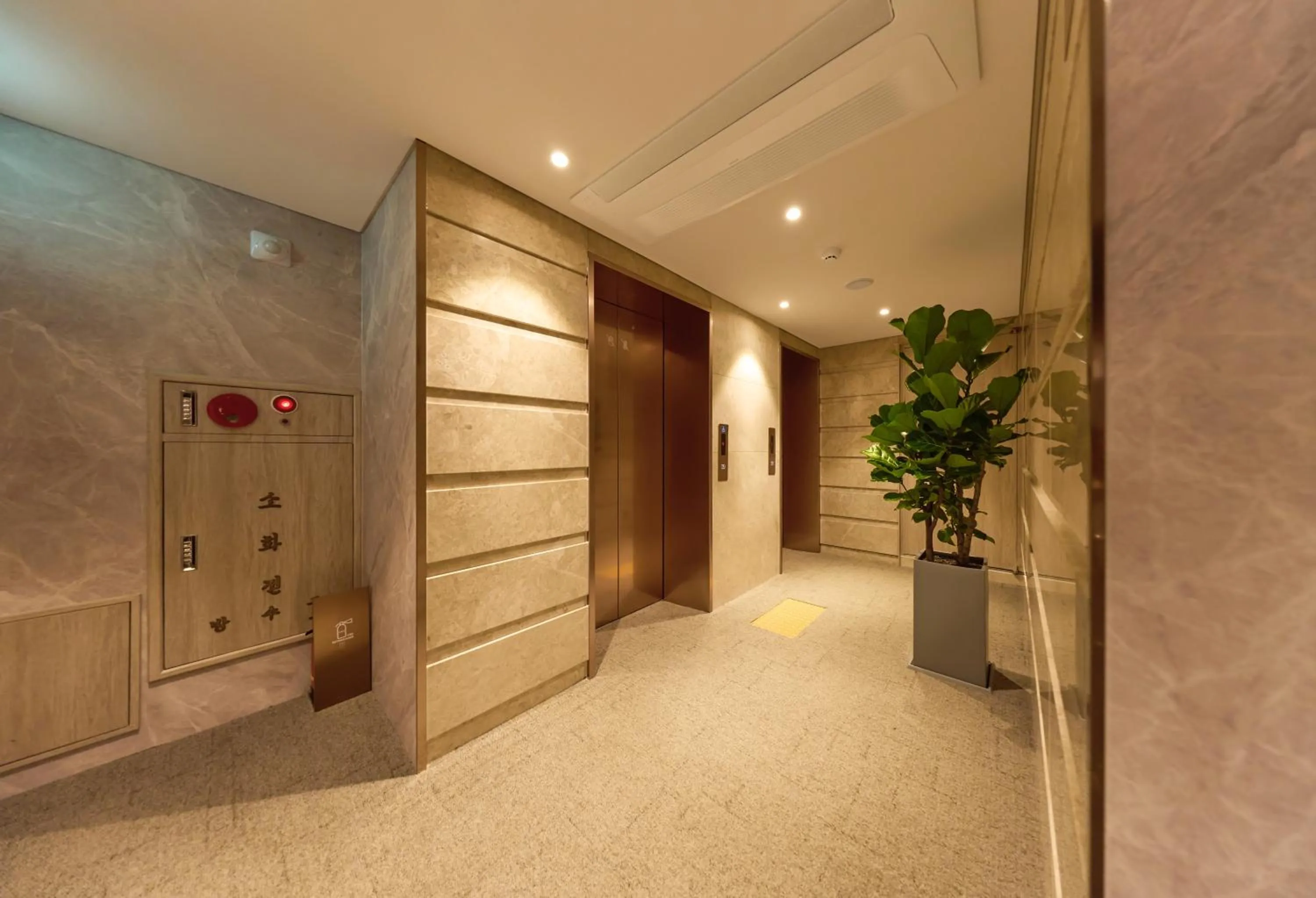 Property building in Capace Hotel Gangnam