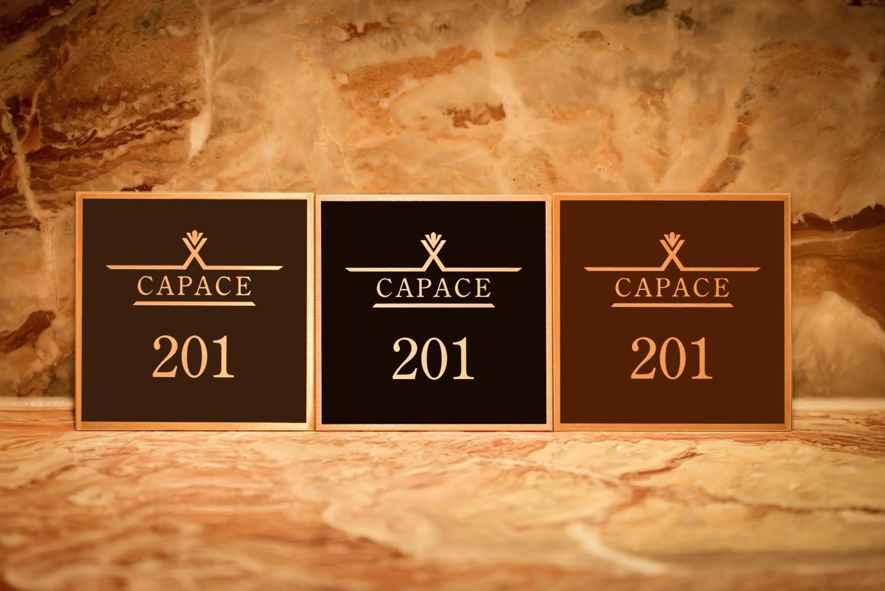 Property logo or sign in Capace Hotel Gangnam