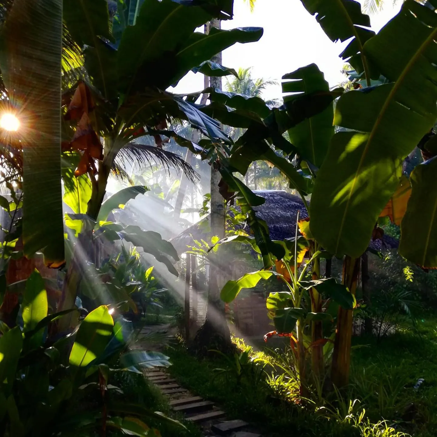 Garden in Ferra Resort Siargao