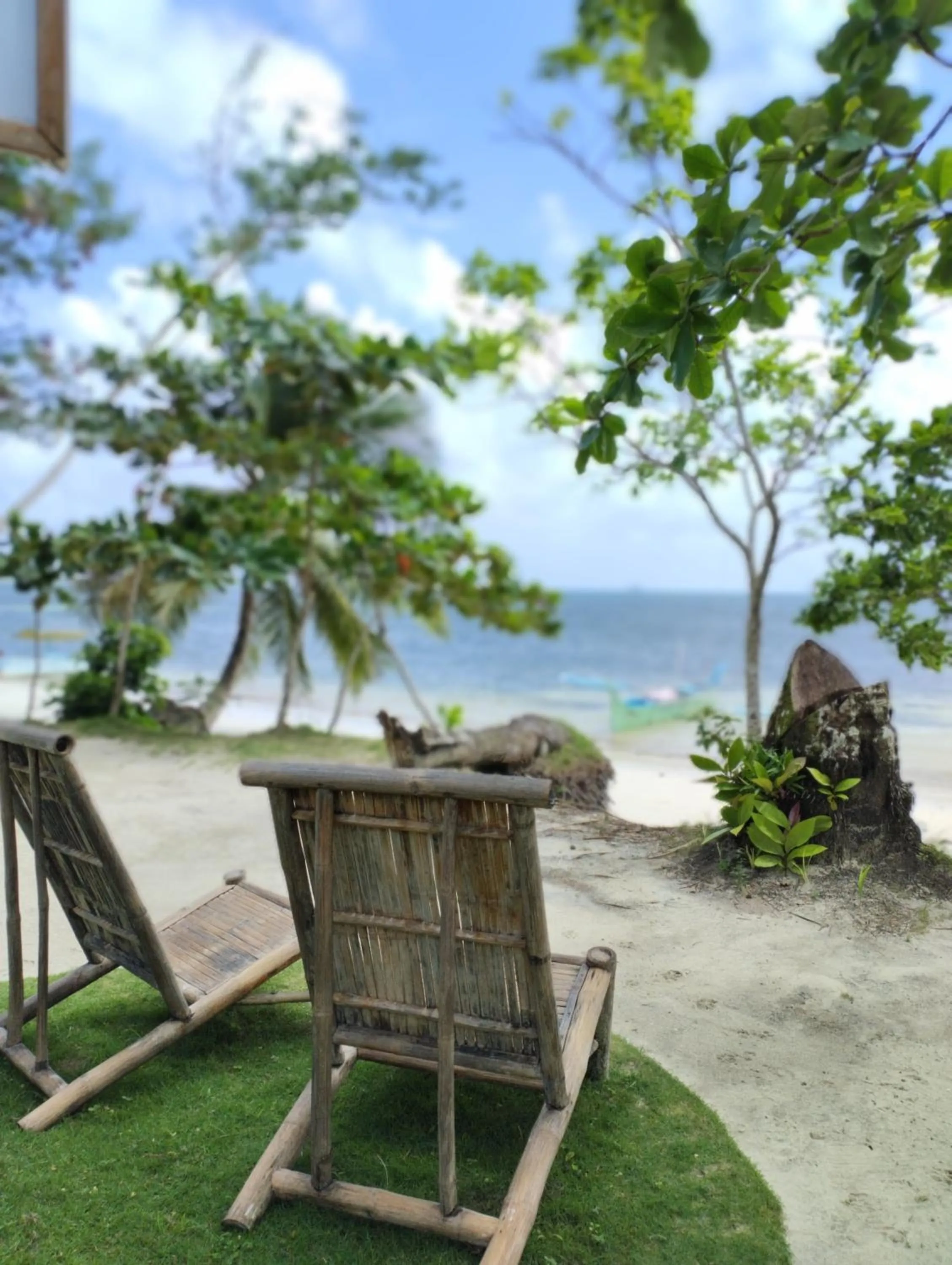 Garden in Ferra Resort Siargao