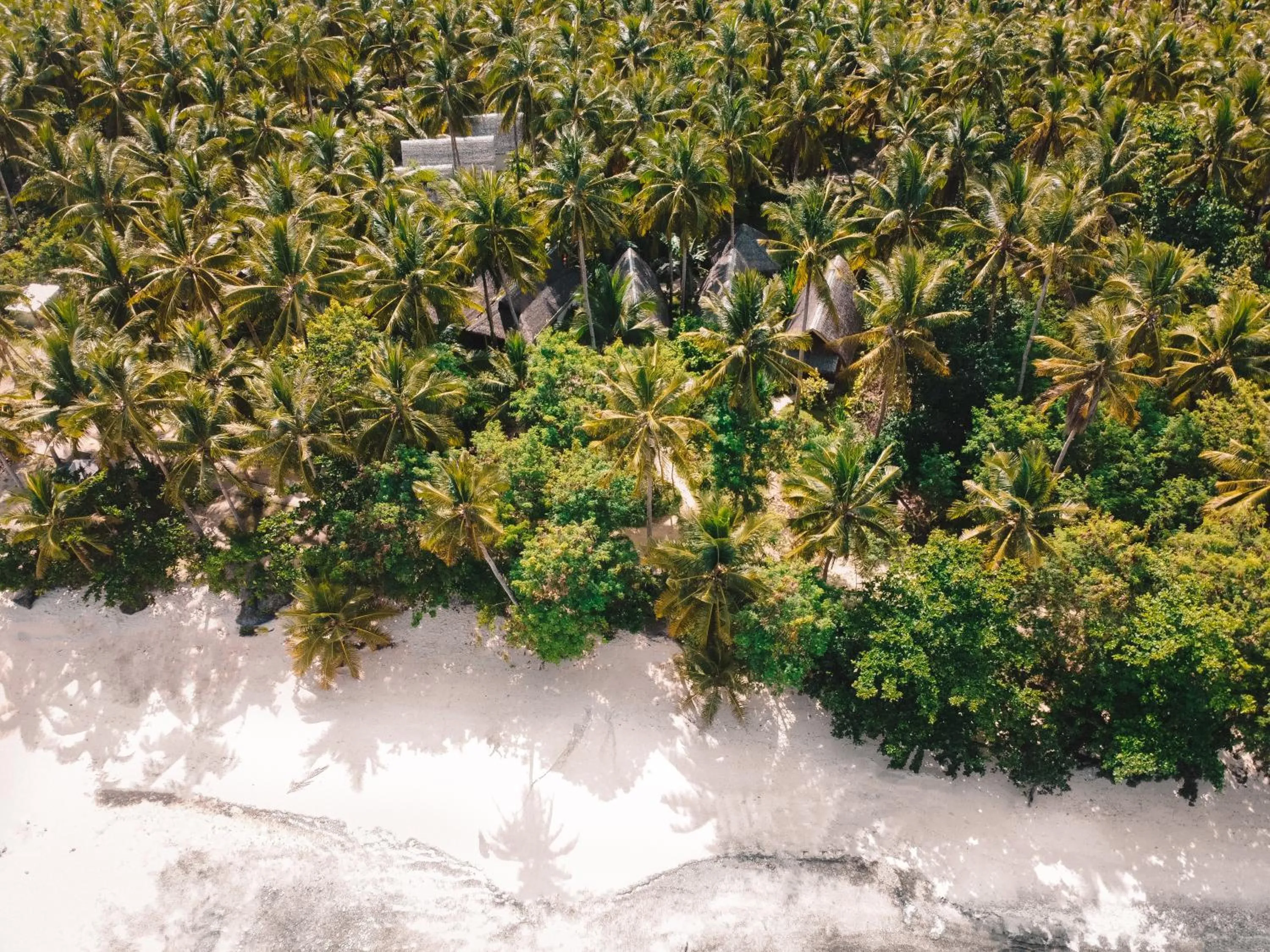 Beach in Ferra Resort Siargao