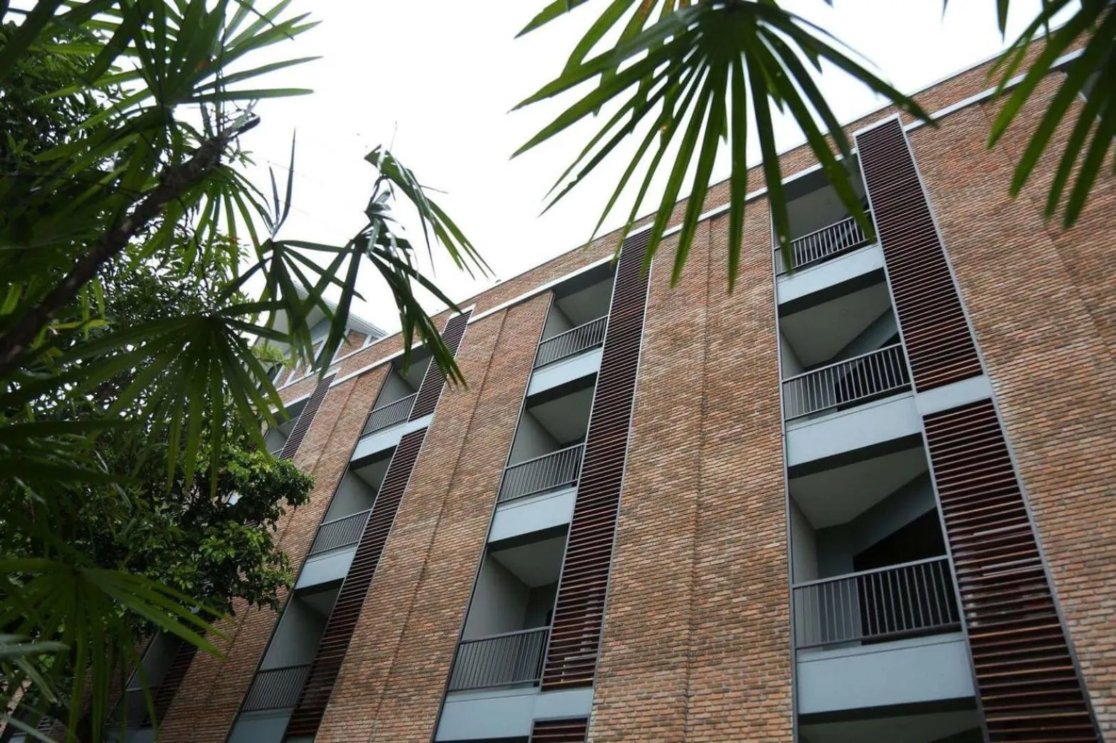 Balcony/Terrace in The Coconut Hotel