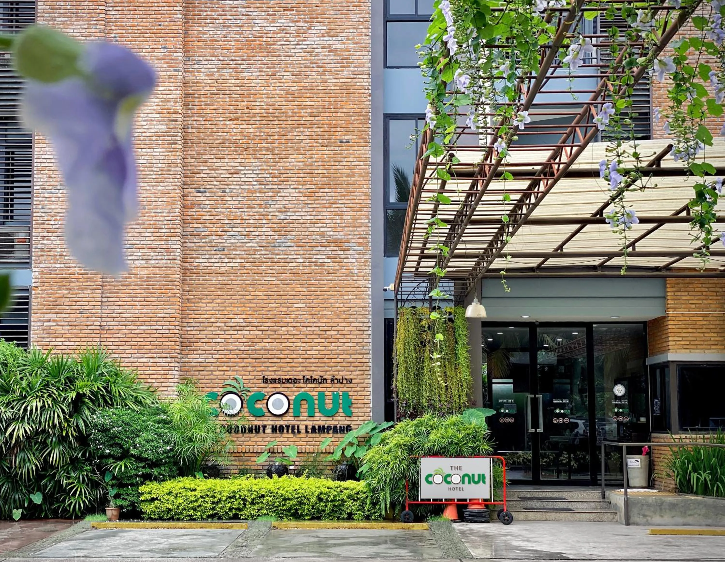 Property building in The Coconut Hotel