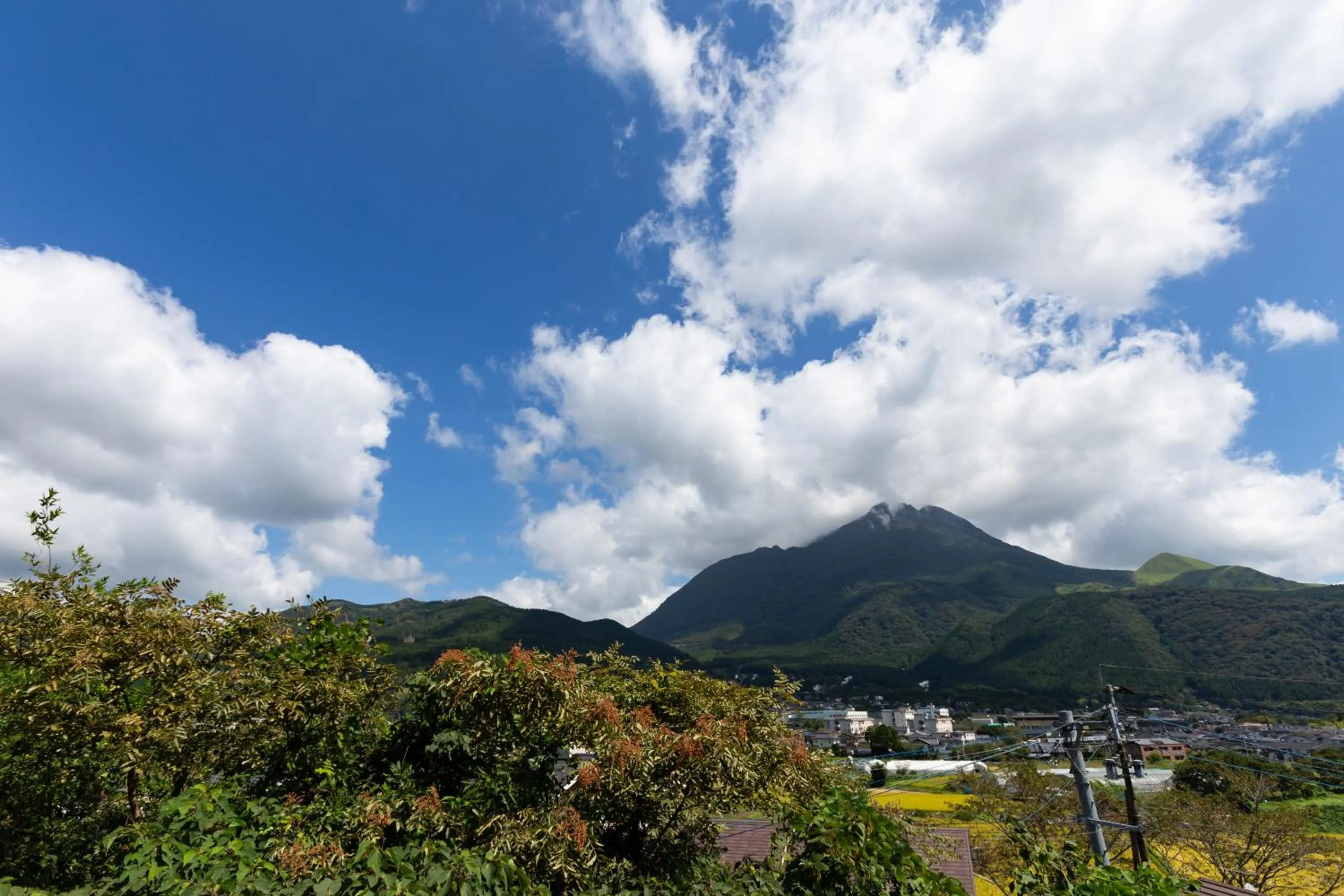 Garden view in Ryokan Yamanami