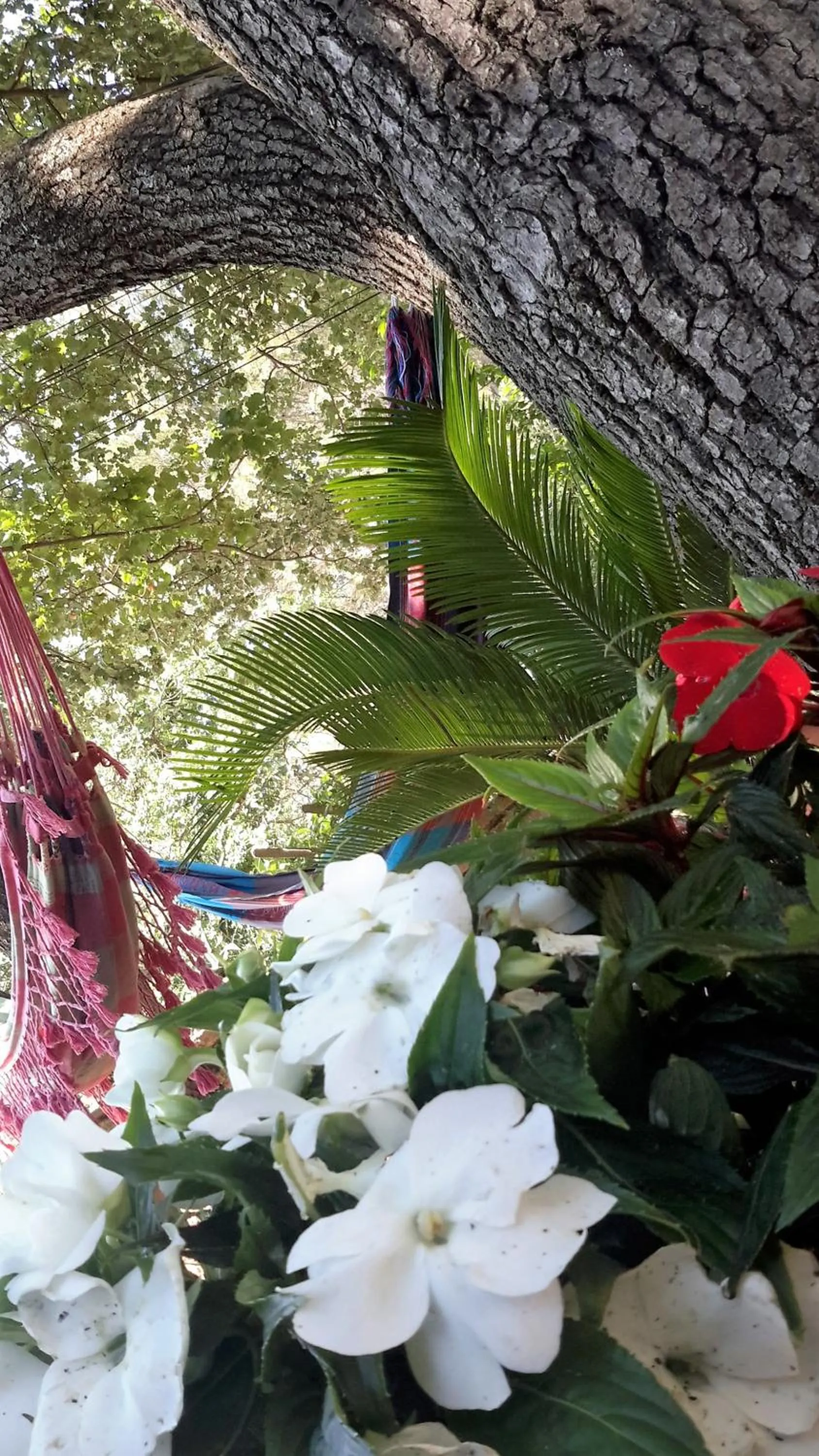 Shower in Om'Sleeping B&B