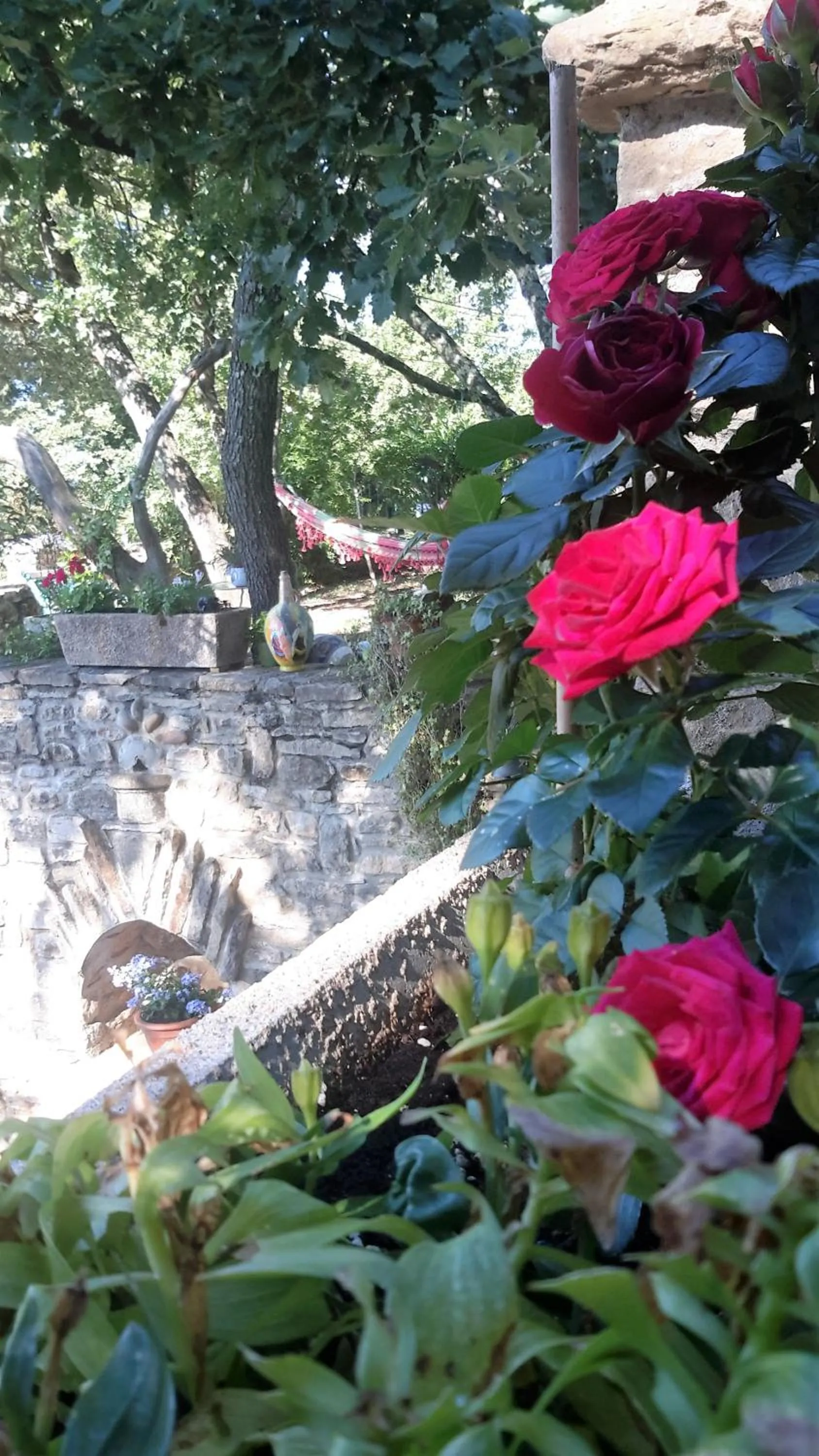 Garden in Om'Sleeping B&B