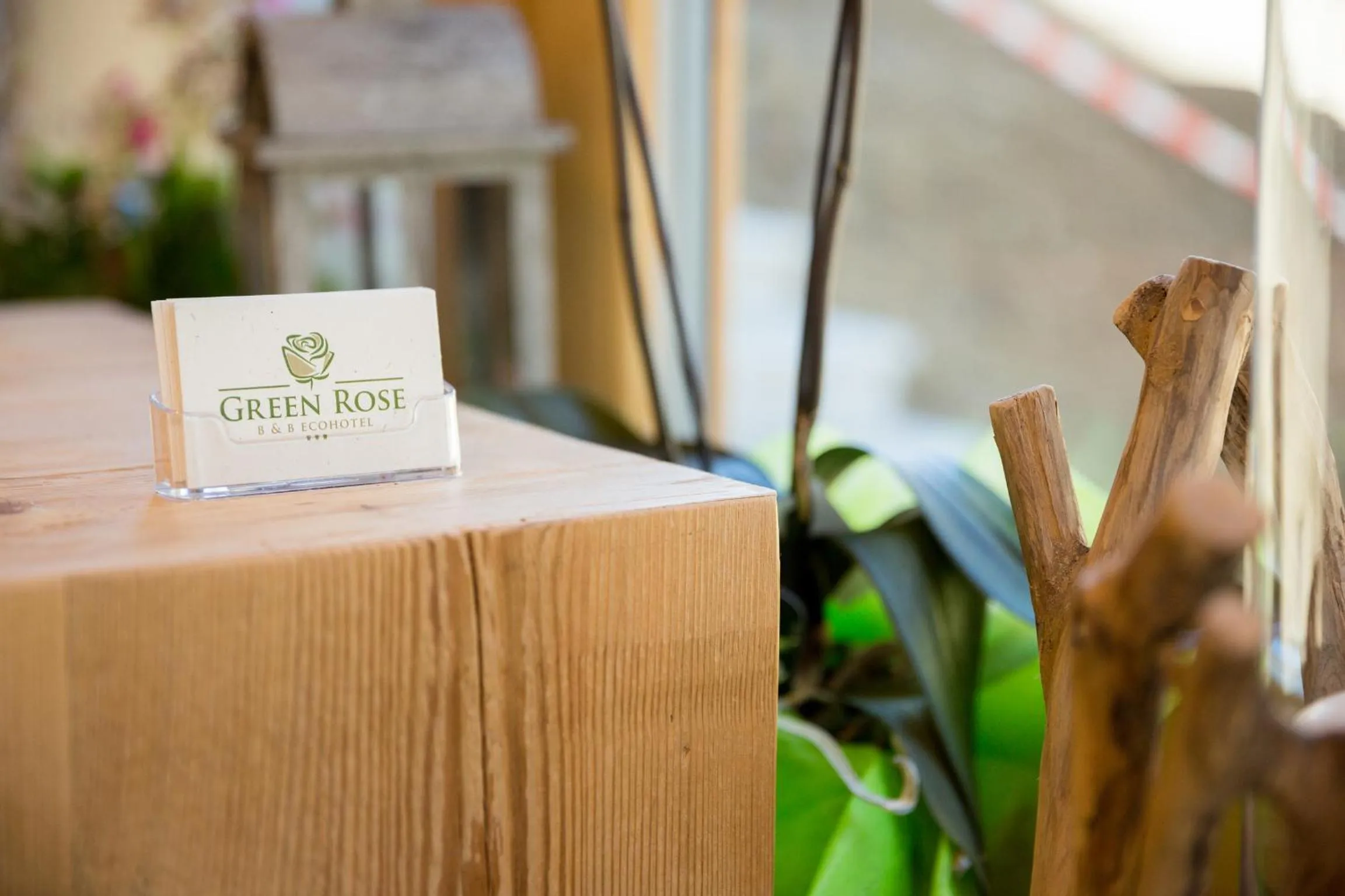 Lobby or reception in Green Rose