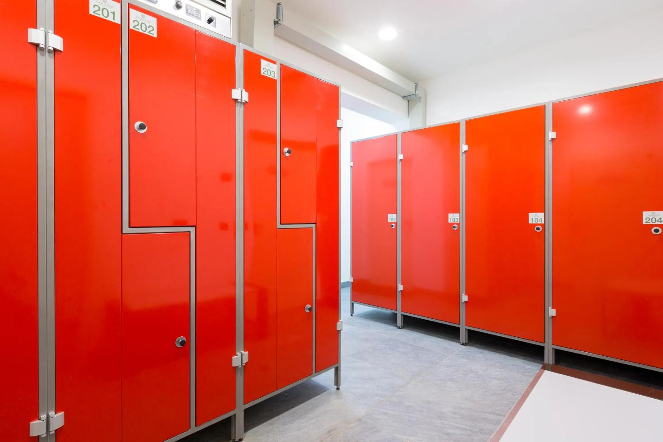 Skiing in Green Rose