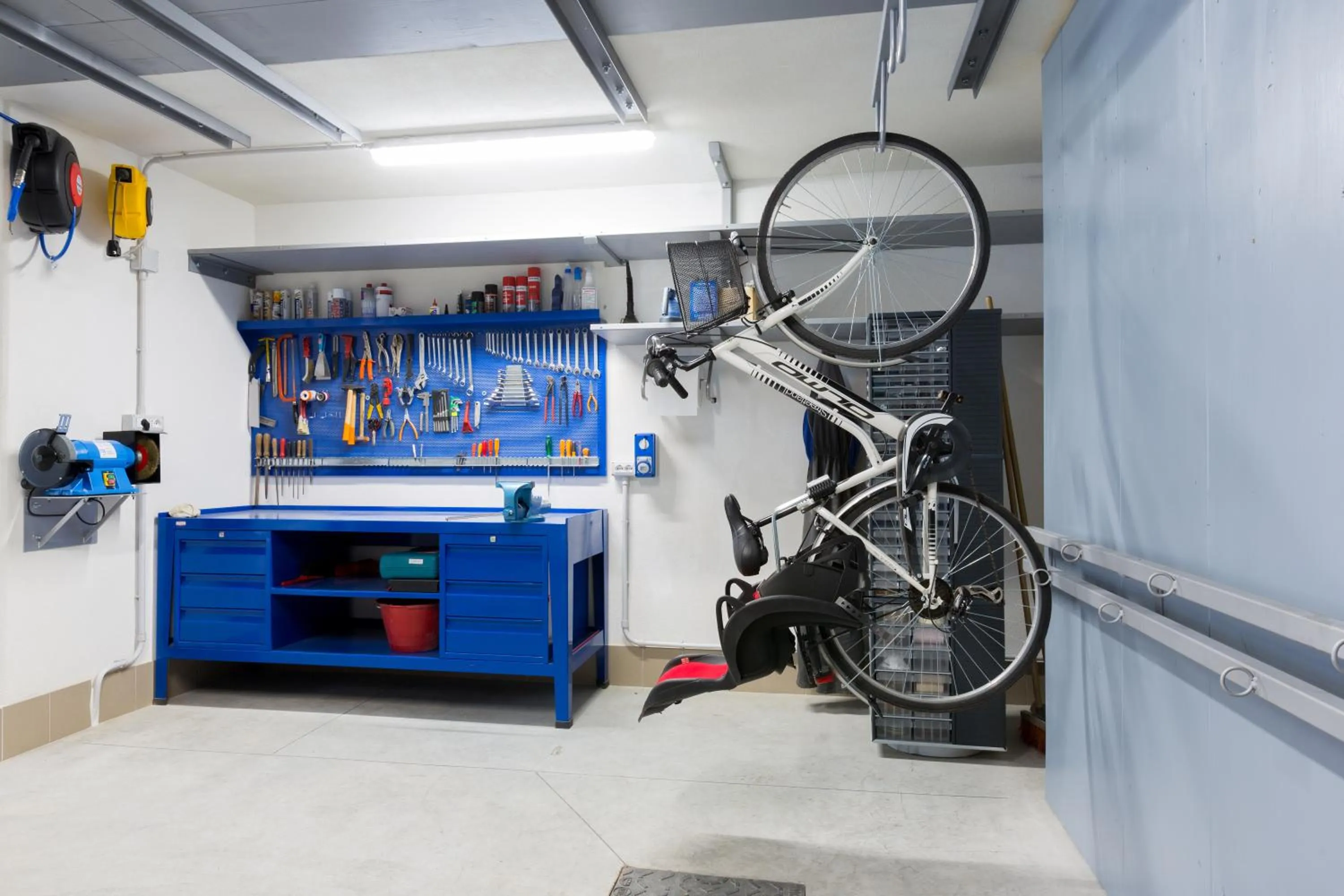 Cycling in Green Rose