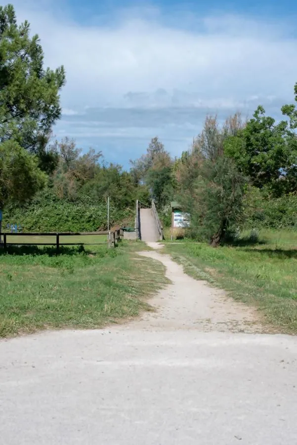Neighbourhood in AZZURRO LIDO ADRIANO VISTA MARE