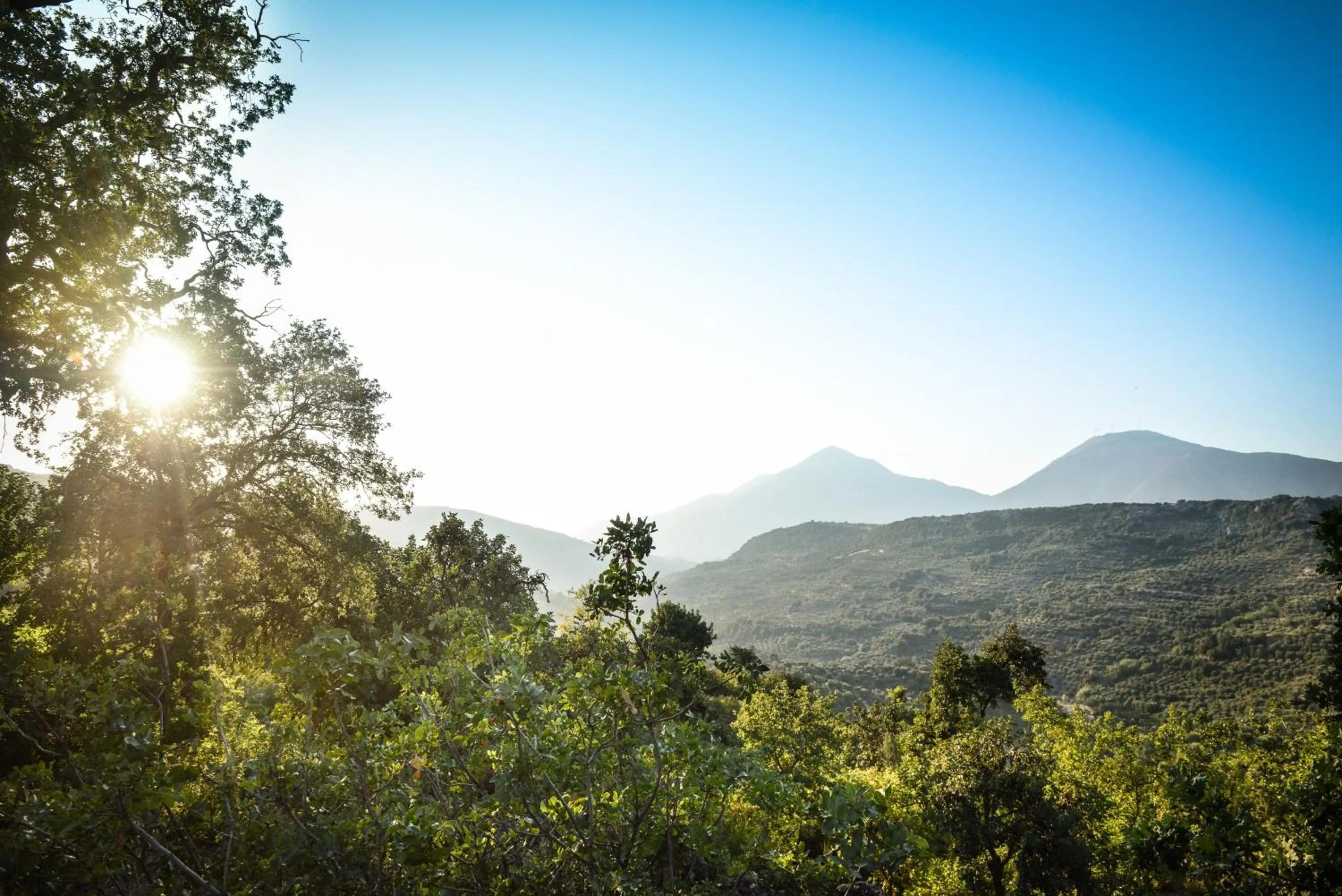 View (from property/room) in Enagron Ecotourism Village