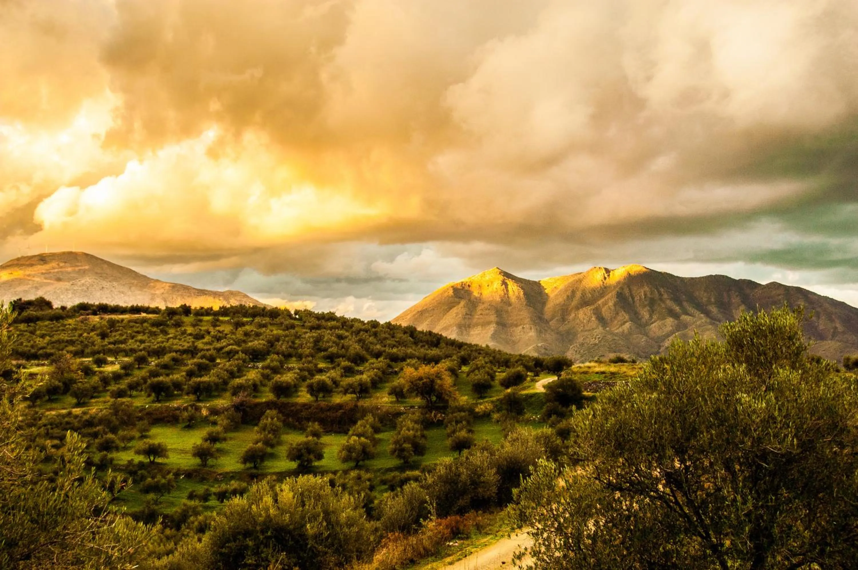 View (from property/room) in Enagron Ecotourism Village