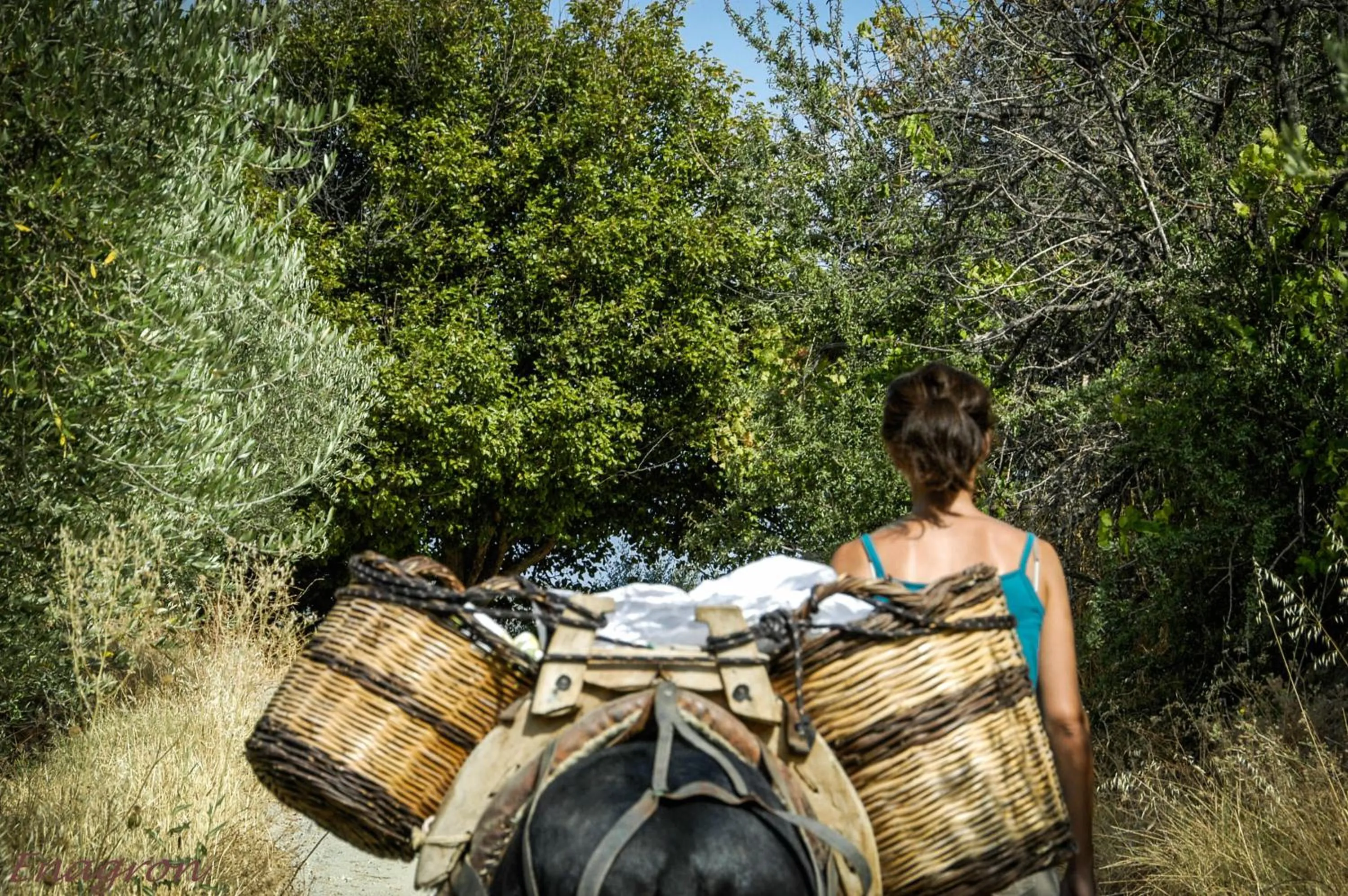 Hiking in Enagron Ecotourism Village