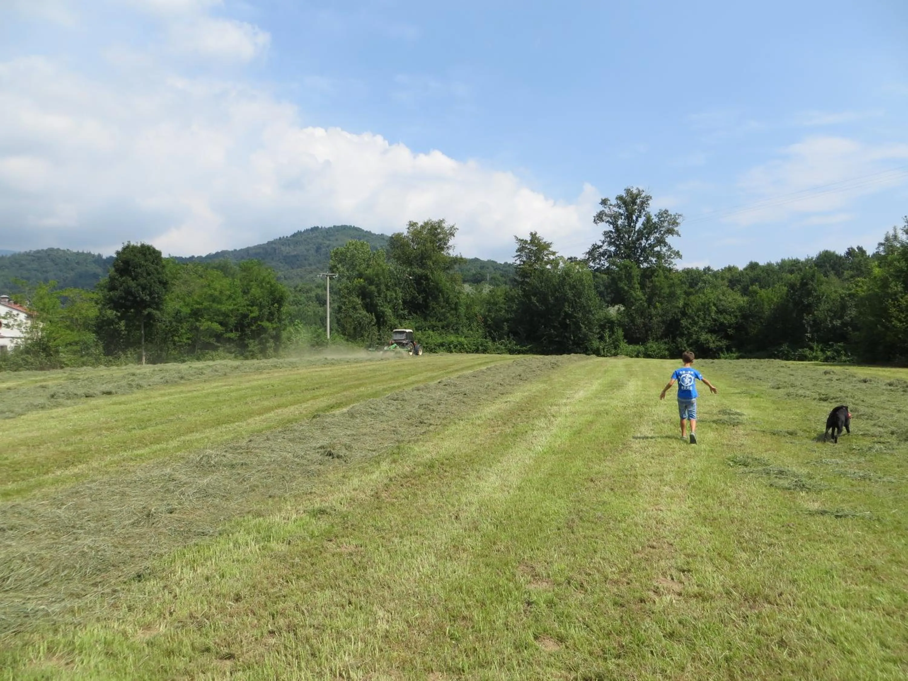 Property building in La Bella Dormiente B&B