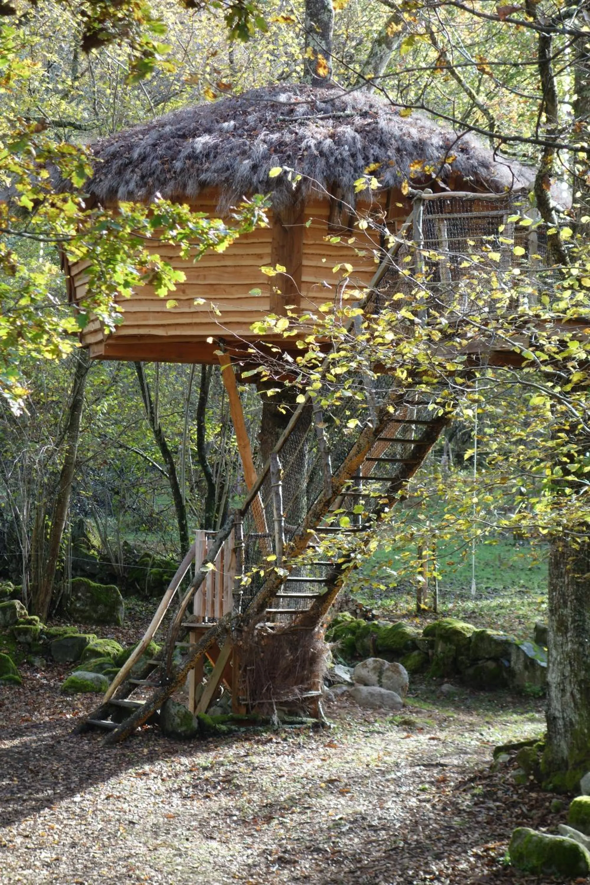 Photo of the whole room in Les Cabanes De Pyrene