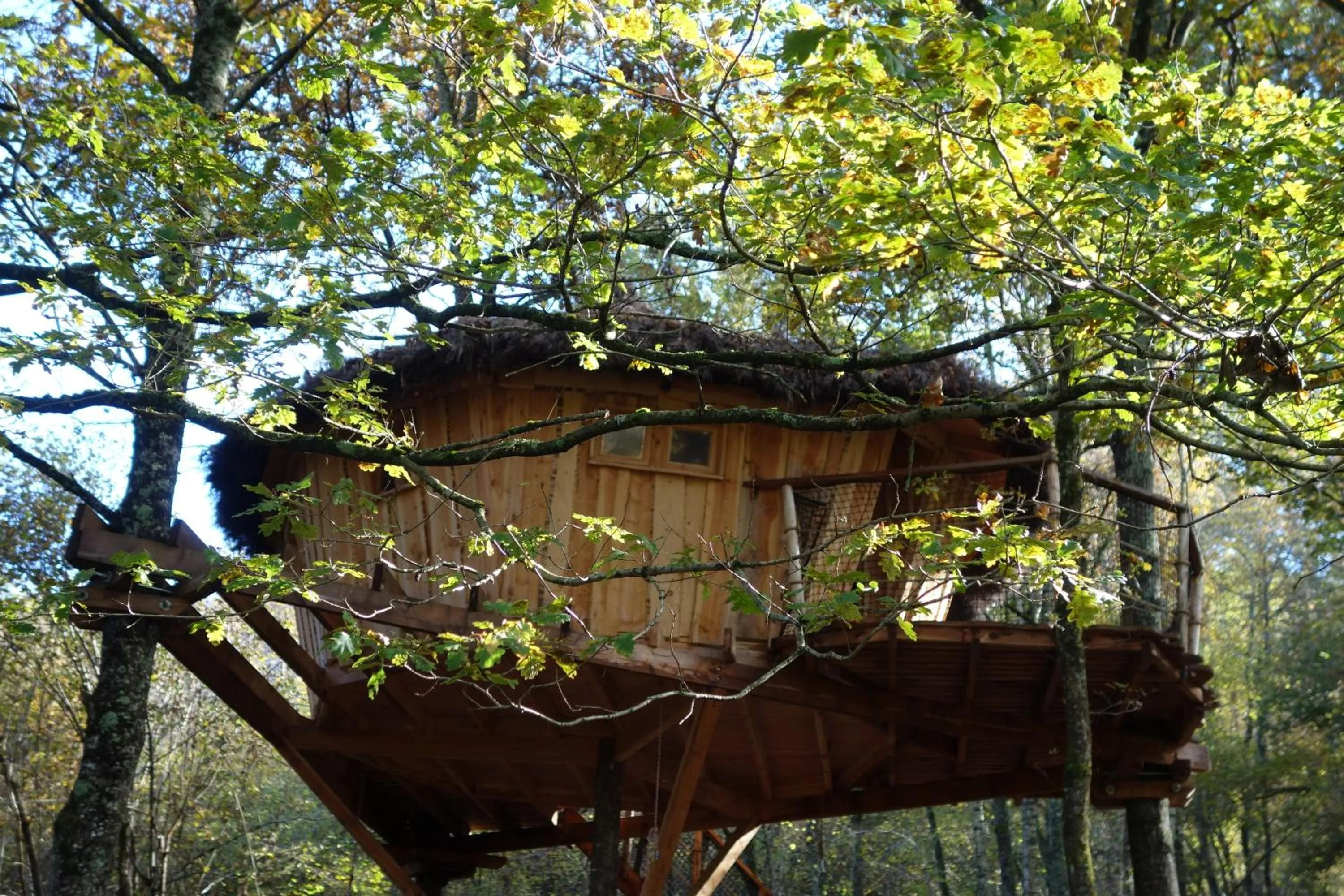 Photo of the whole room in Les Cabanes De Pyrene