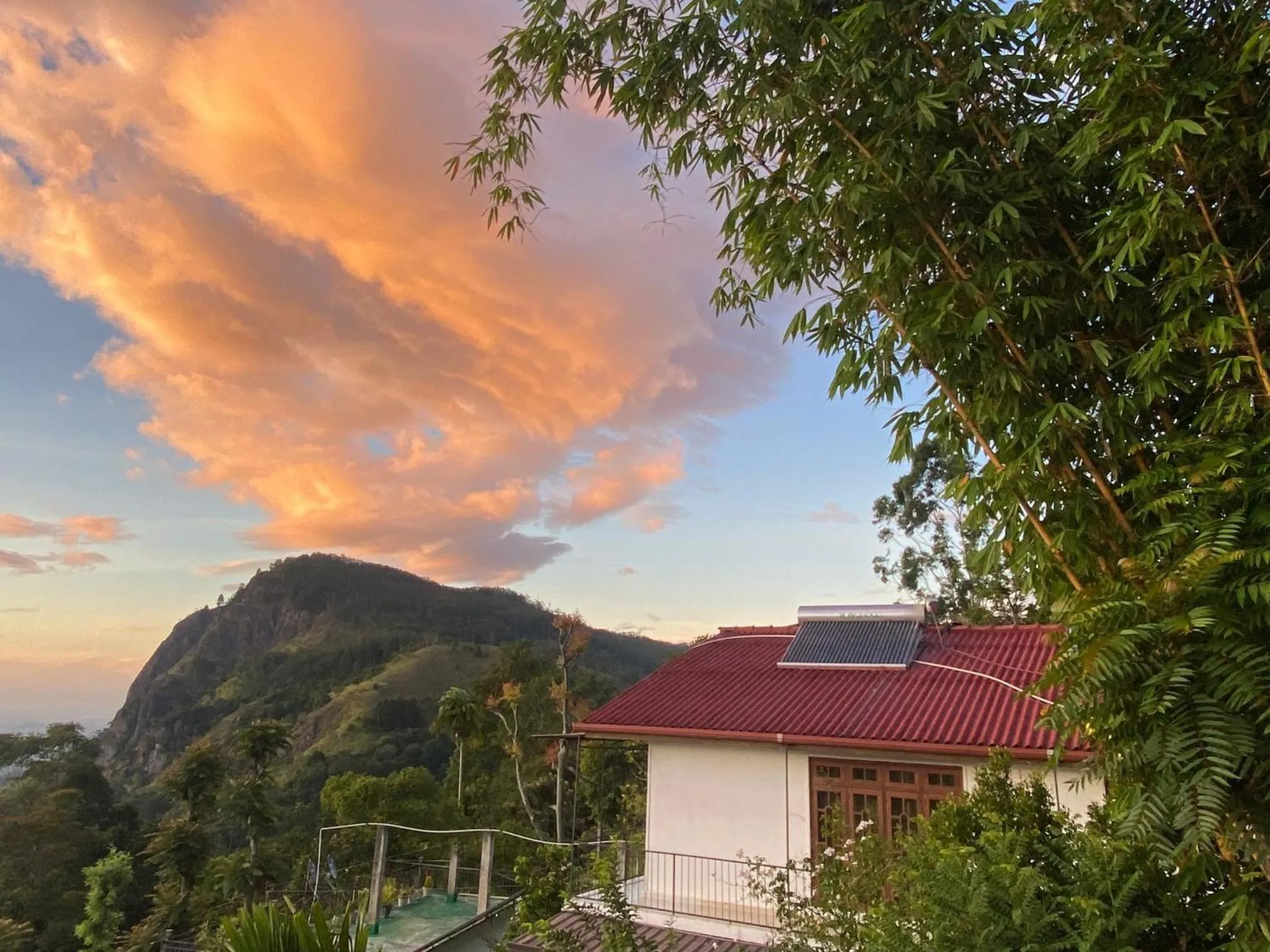 Maple home stay and cottage