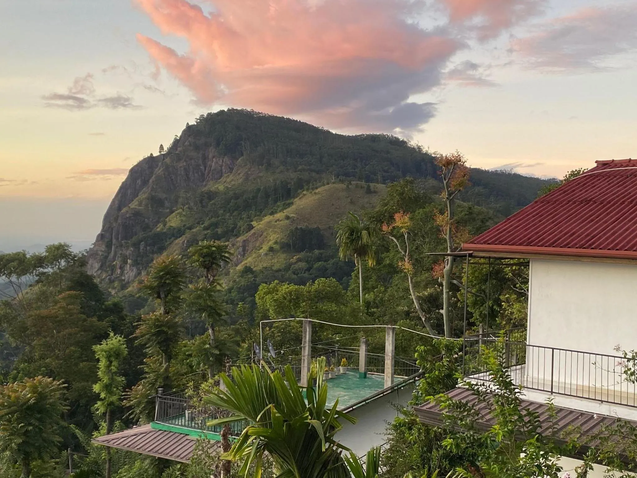 Maple home stay and cottage