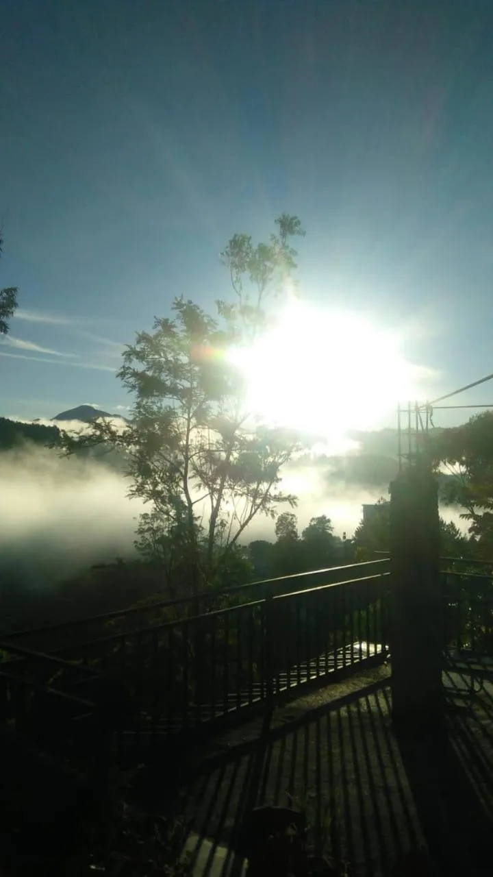 Maple home stay and cottage